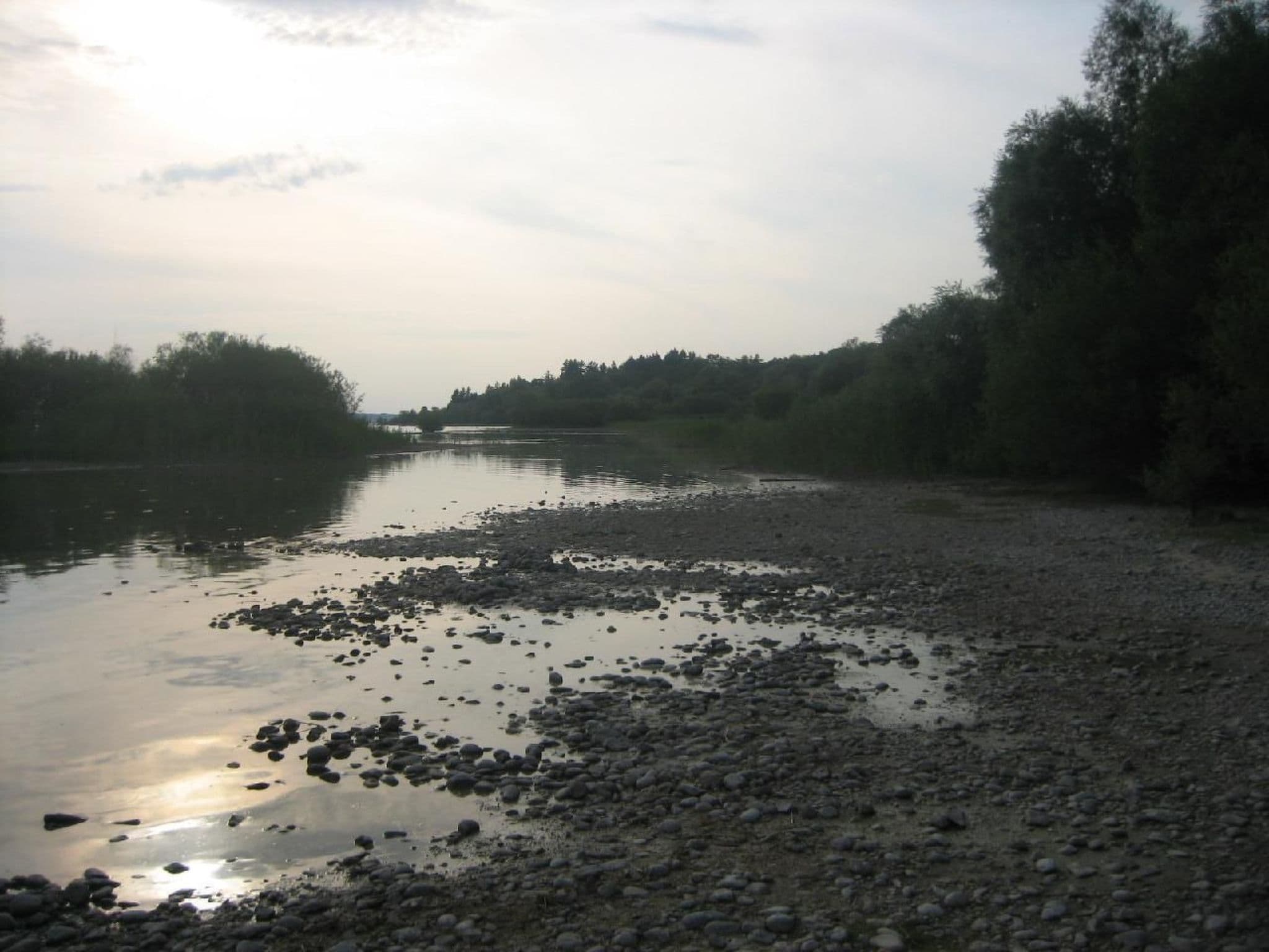 Gallery Image 19