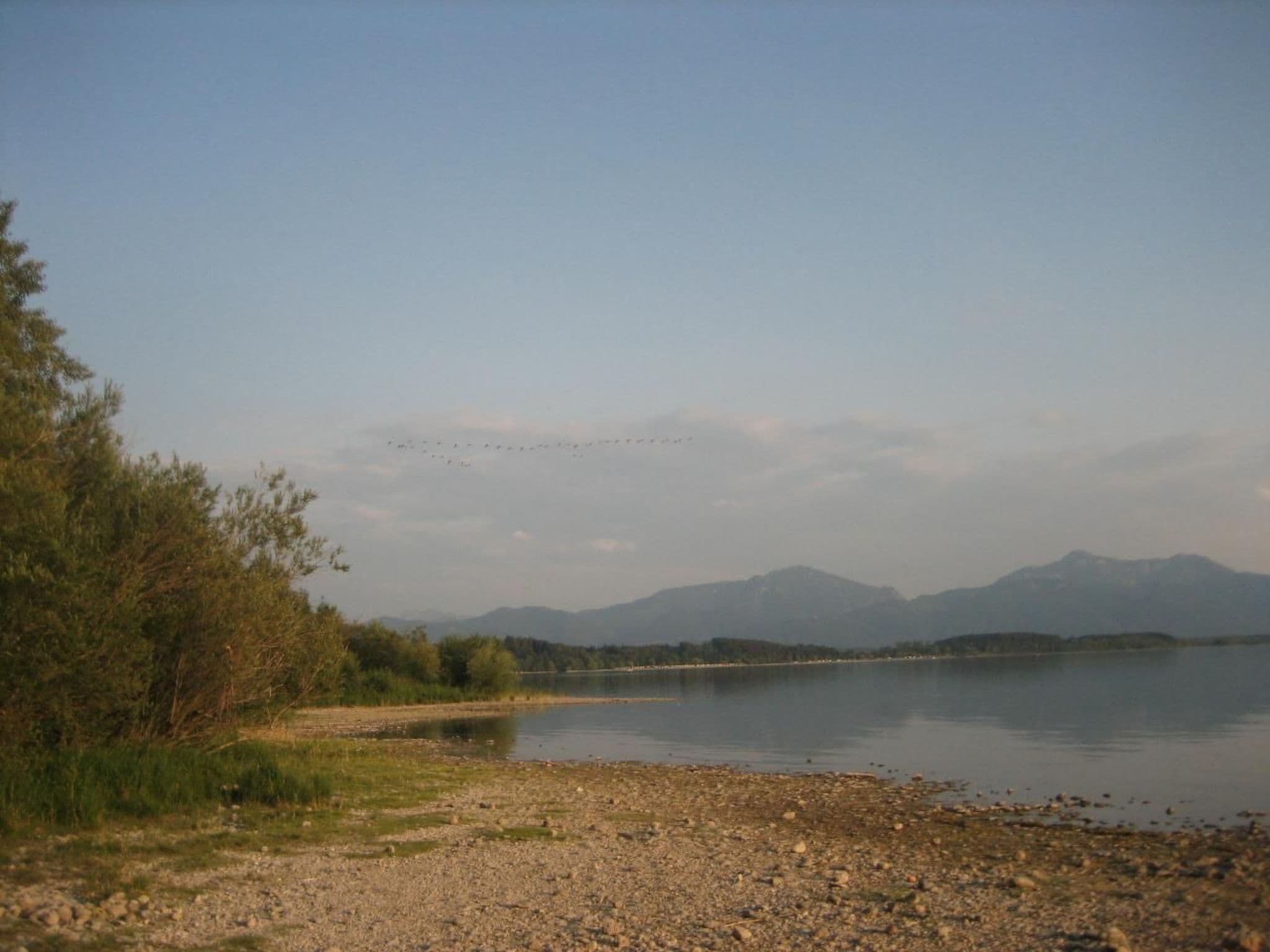 Gallery Image 21