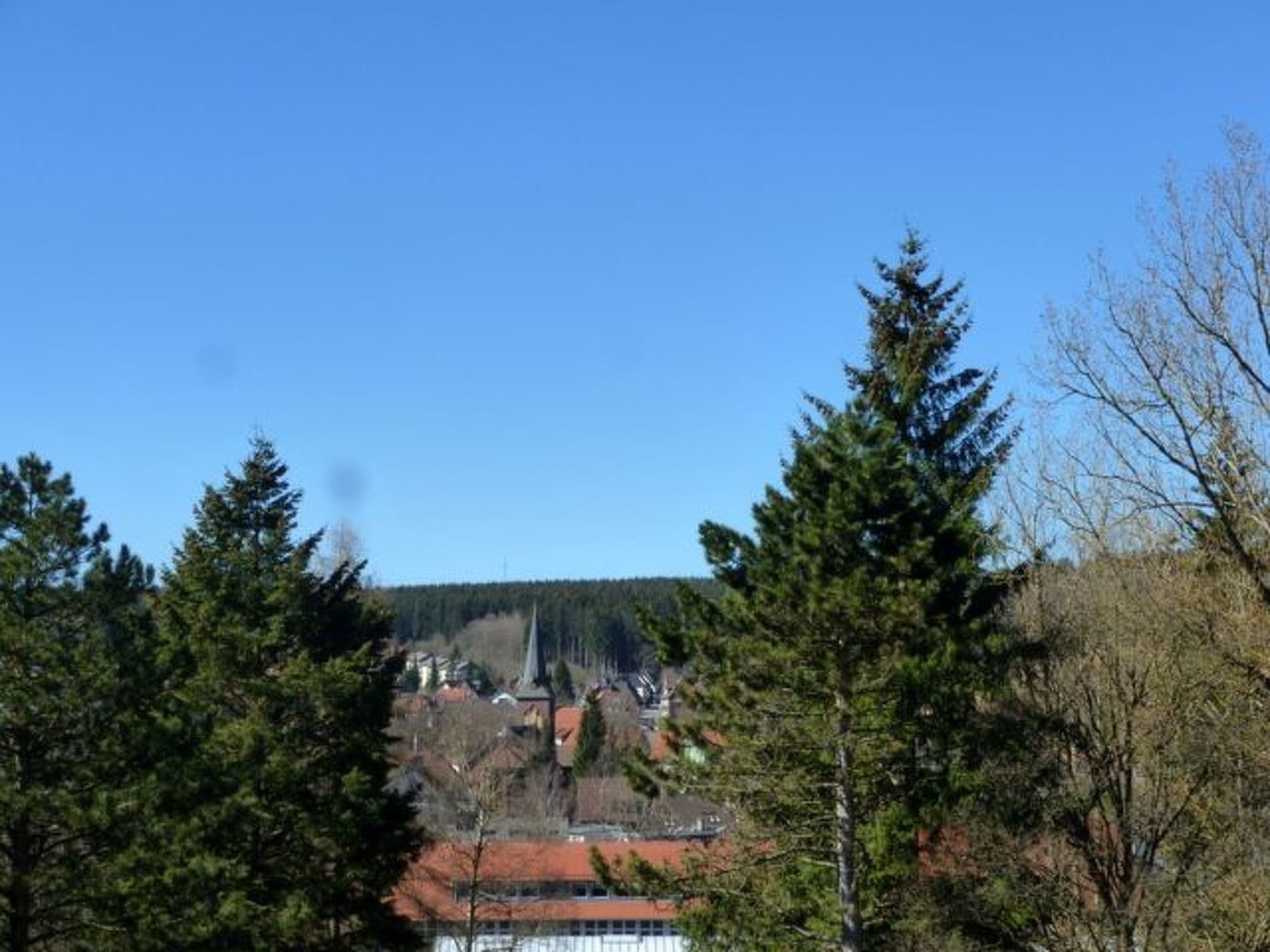 Gallery Image 14