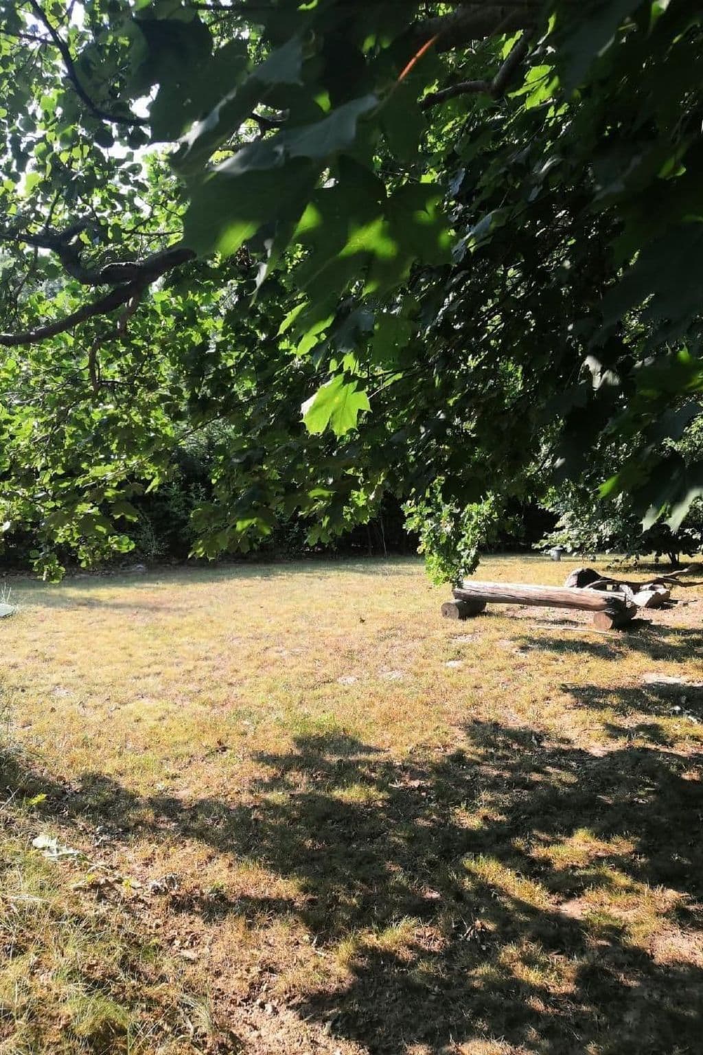 Gallery Image 17