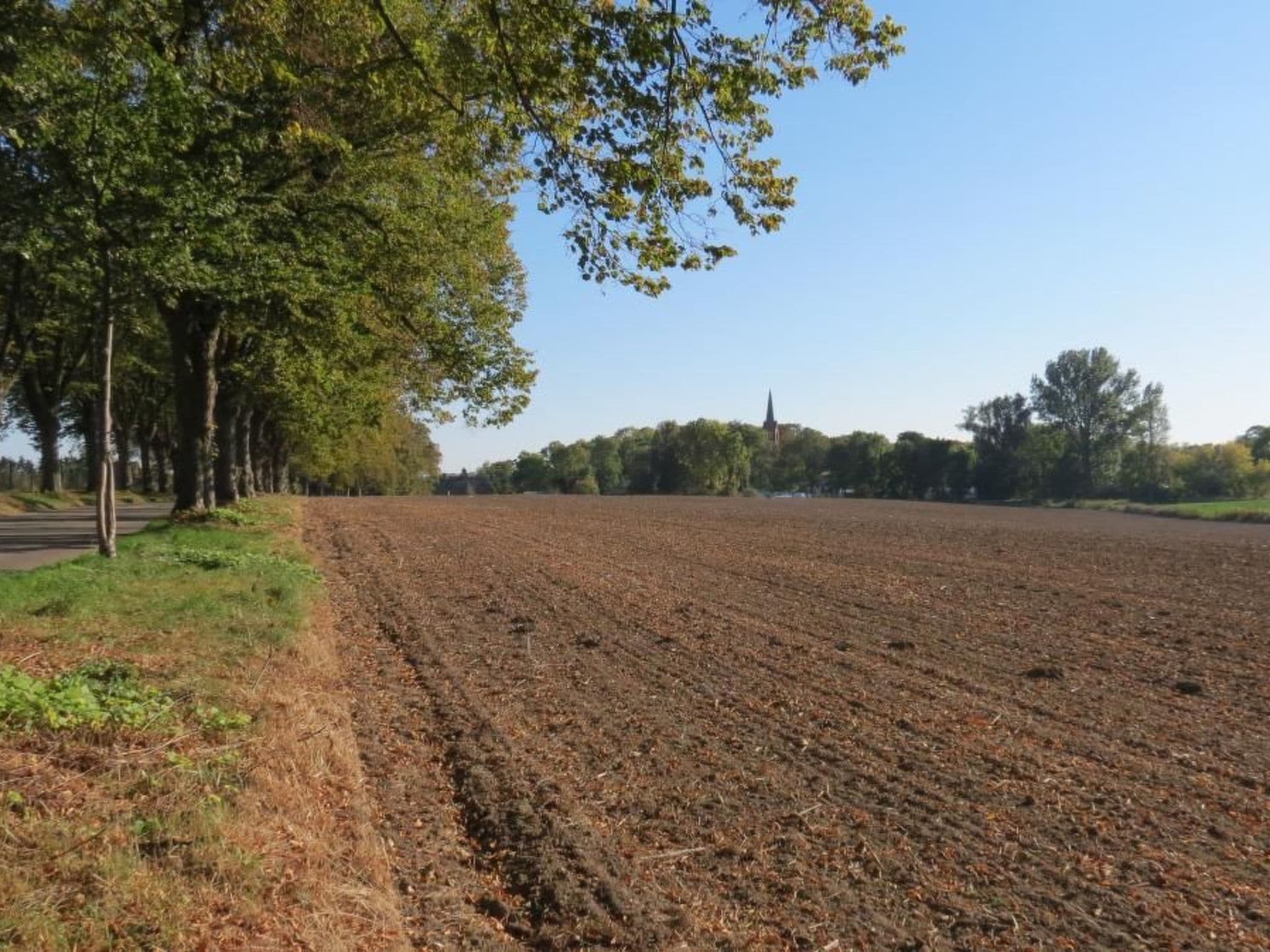 Gallery Image 14