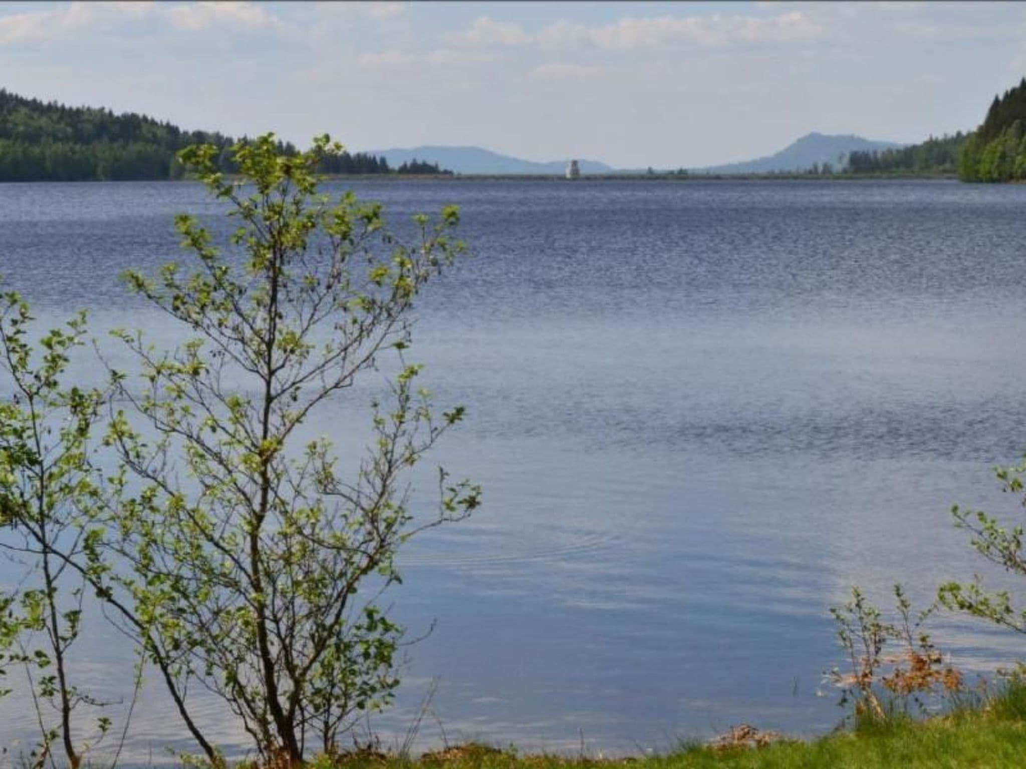 Gallery Image 15