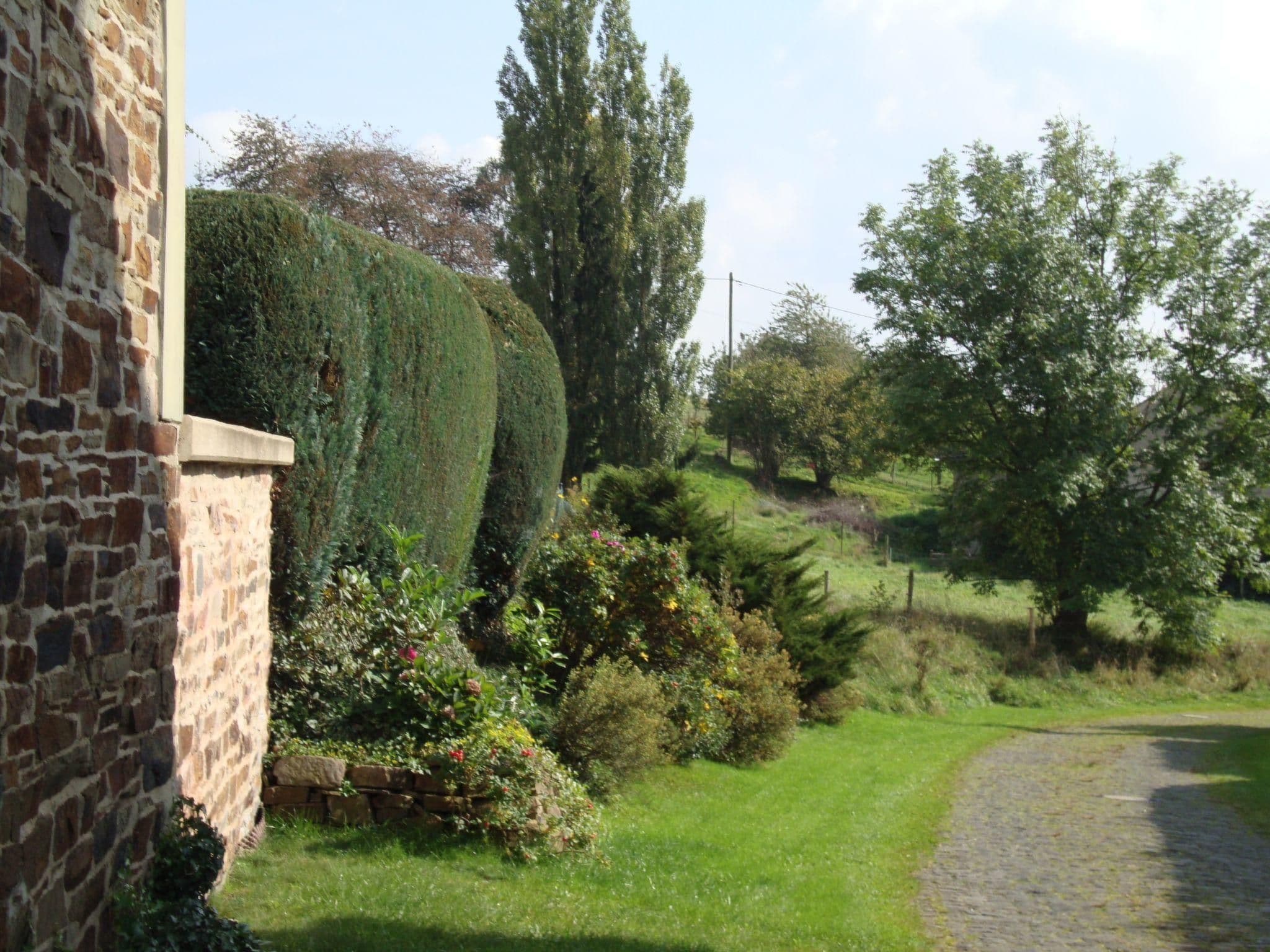 Gallery Image 29