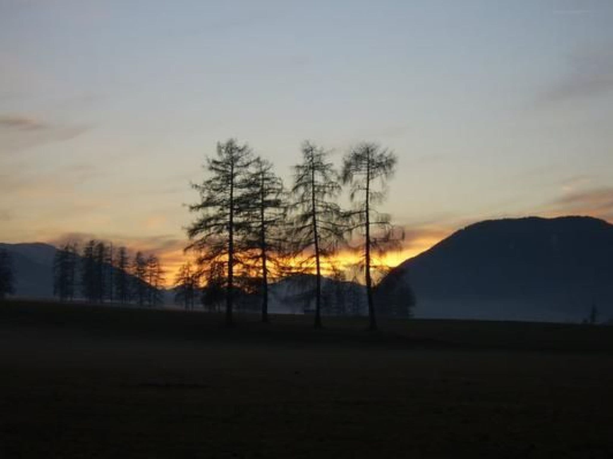 Gallery Image 21
