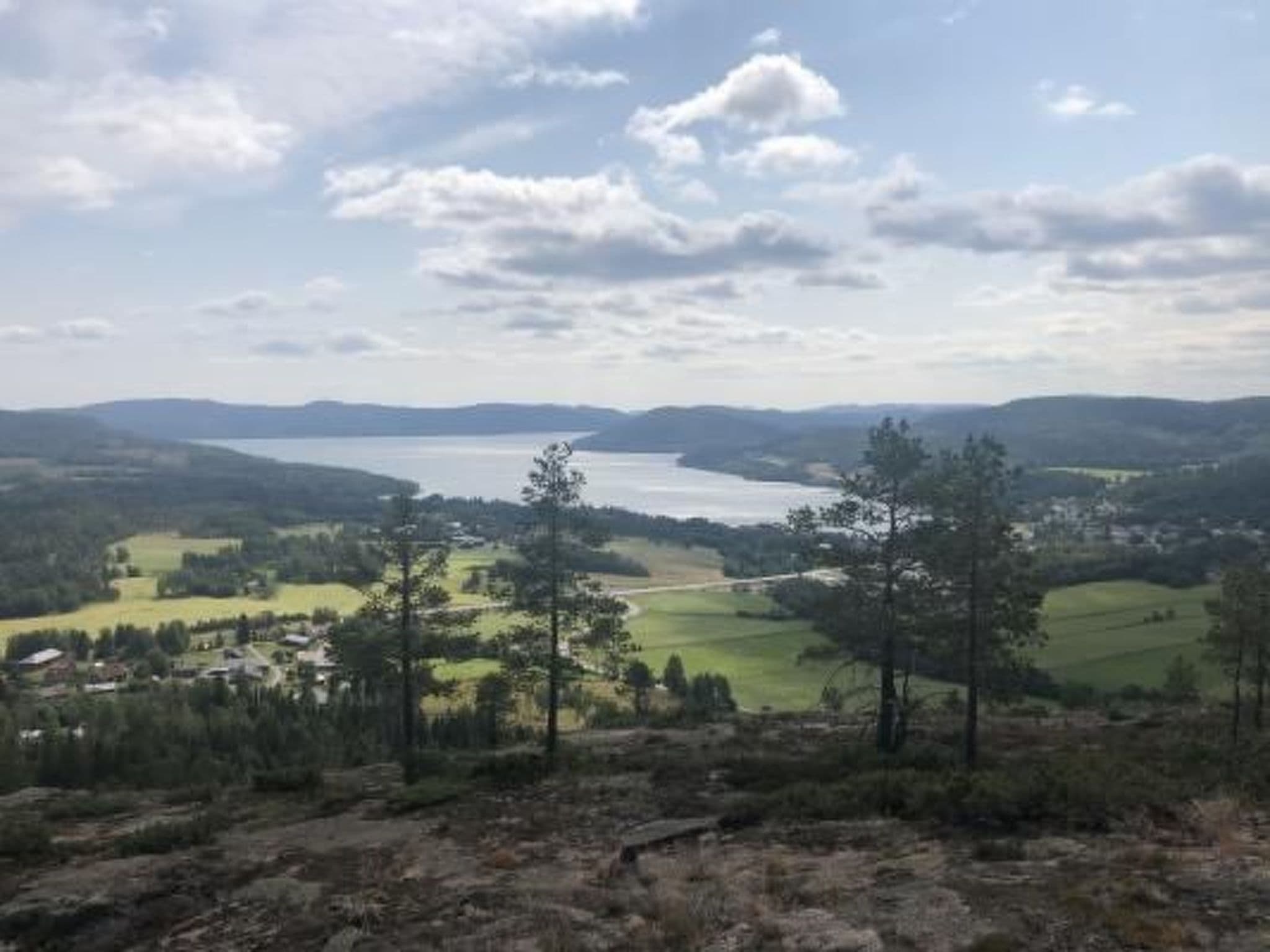 View