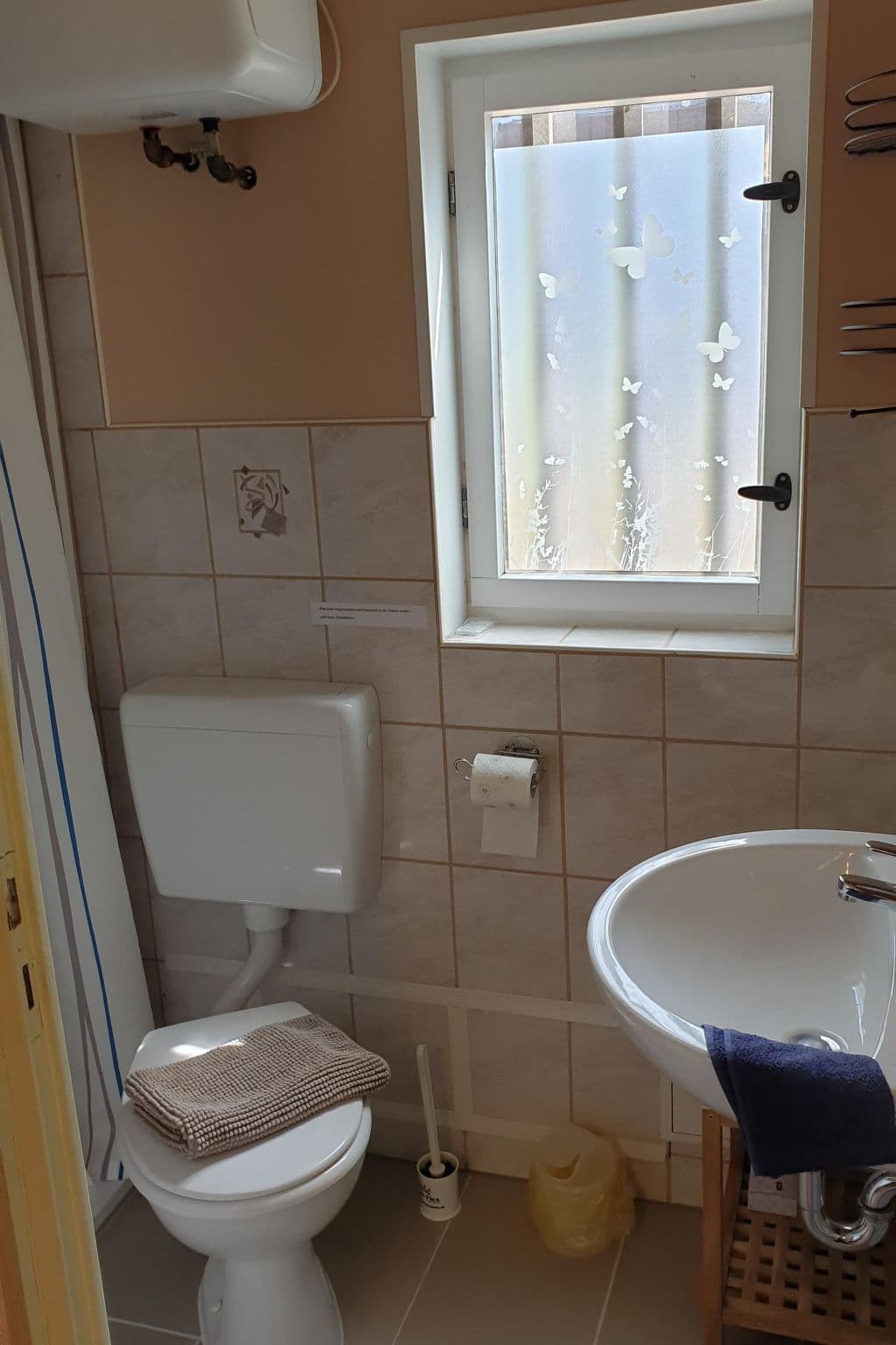 Gallery Image 8