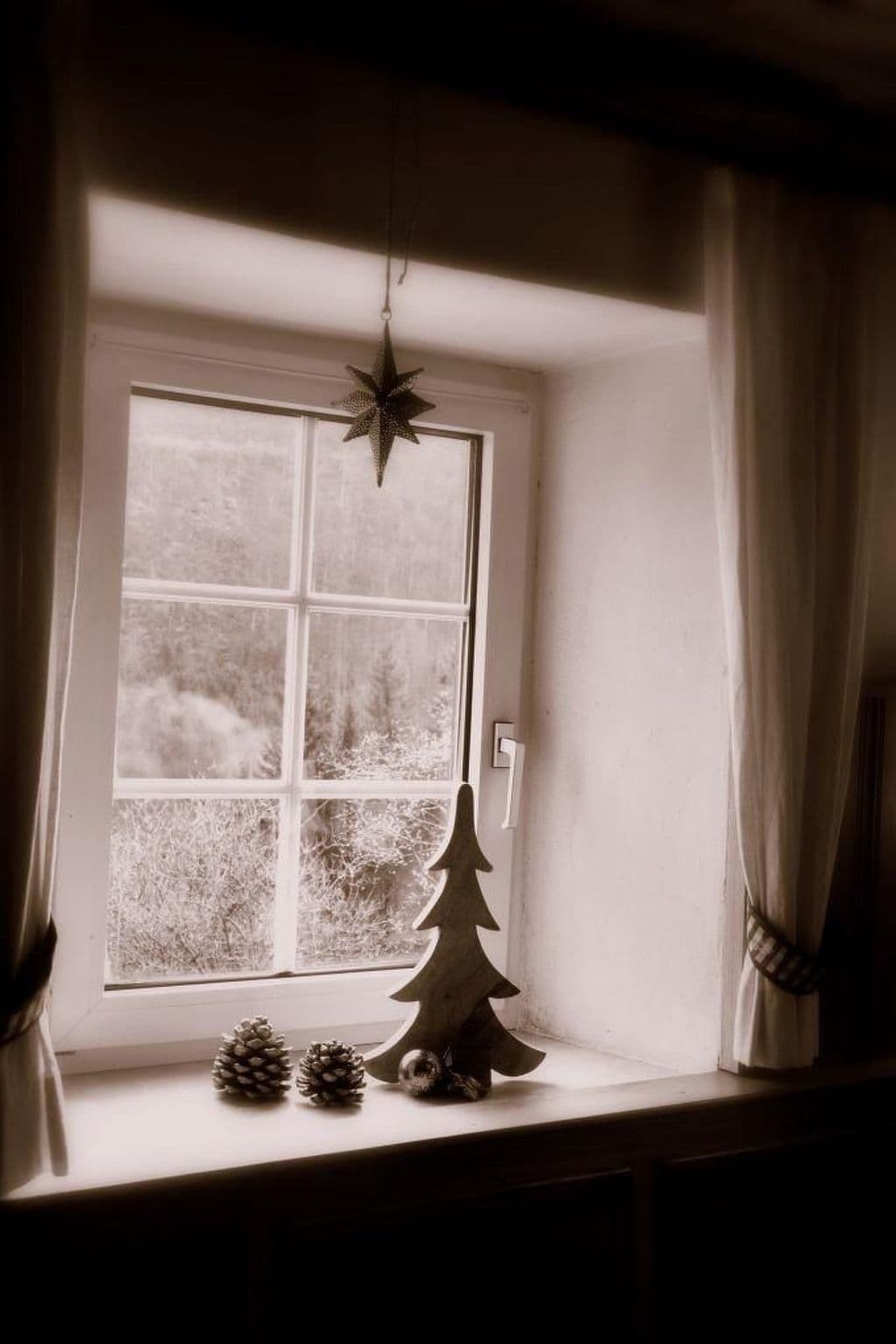 Gallery Image 30