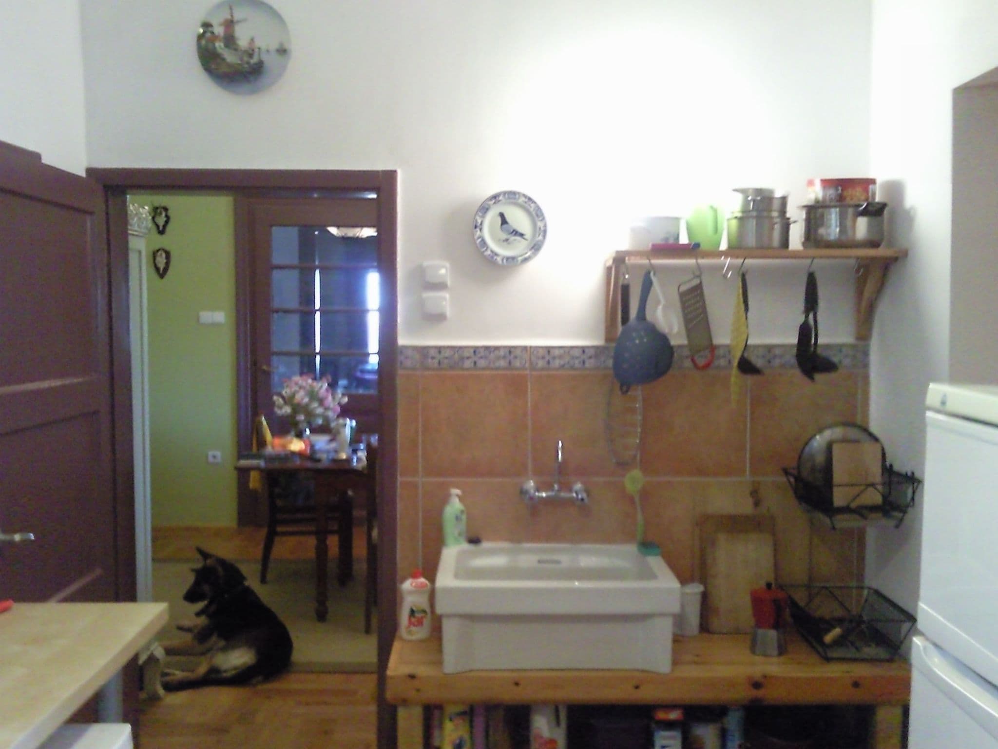 Gallery Image 8