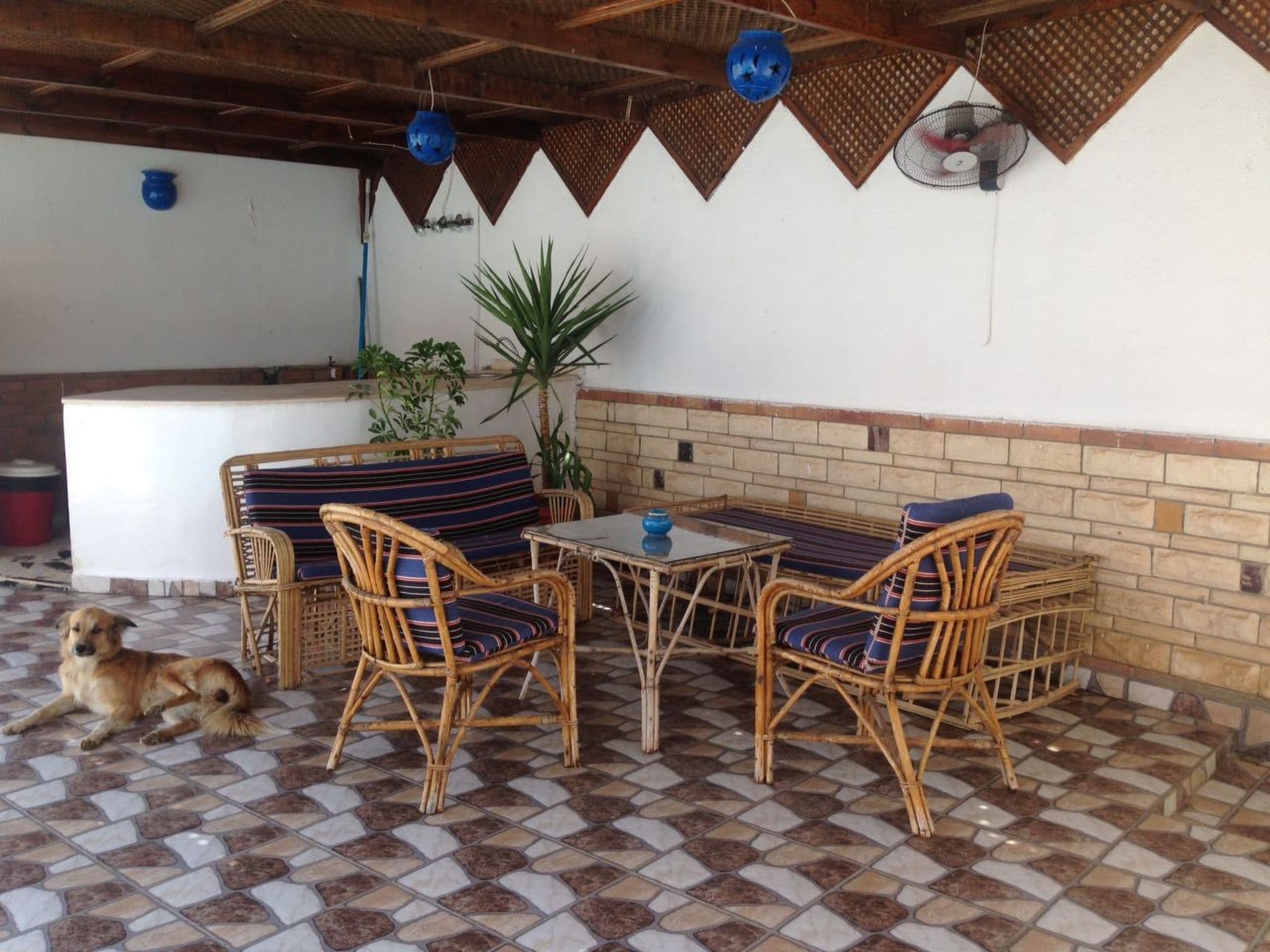 Terrace