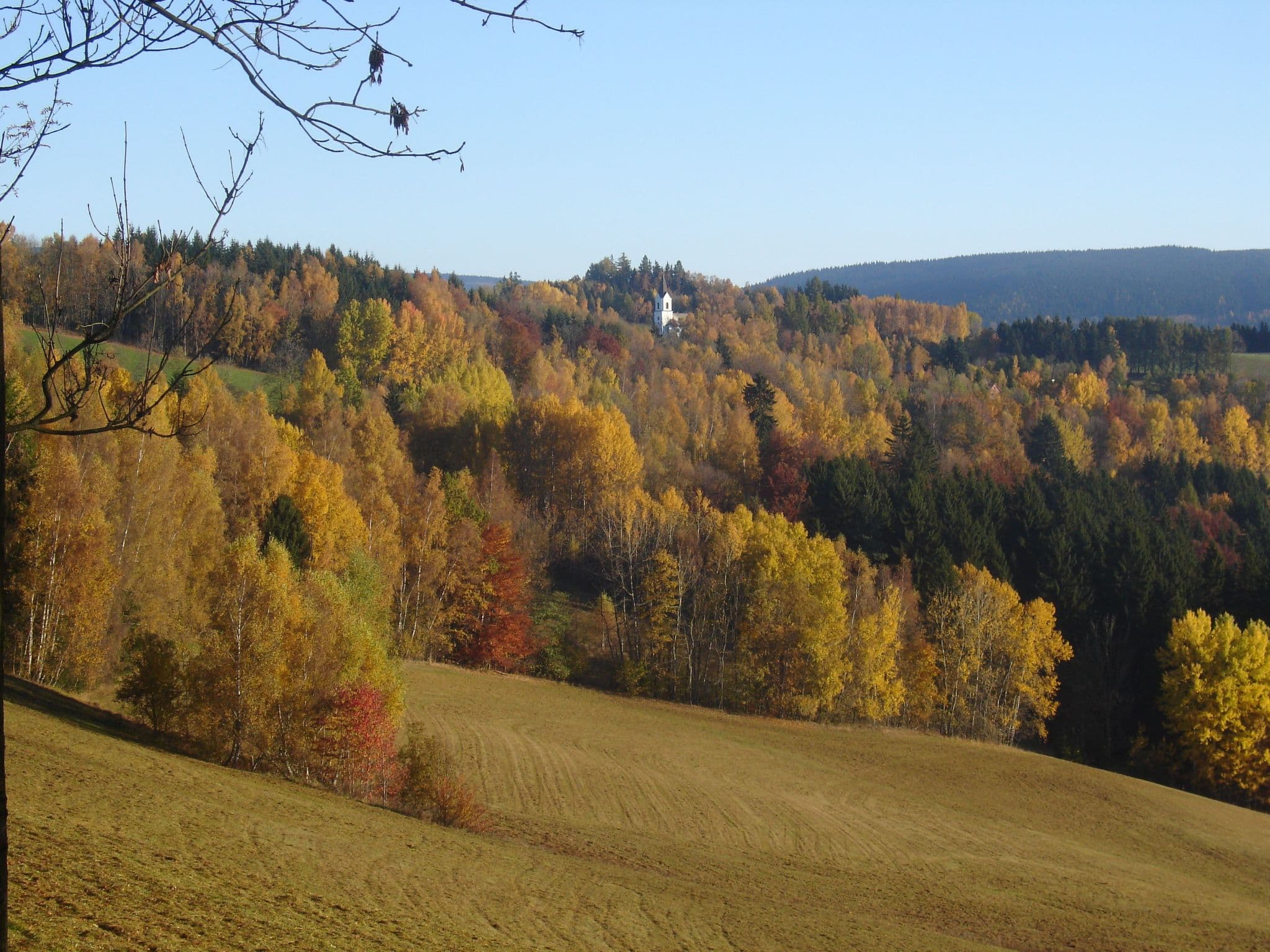 View