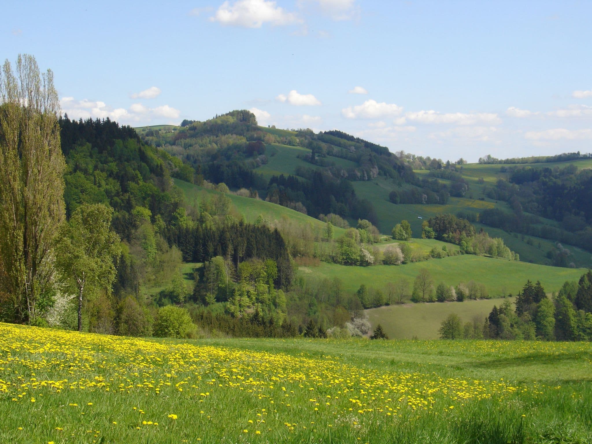 View
