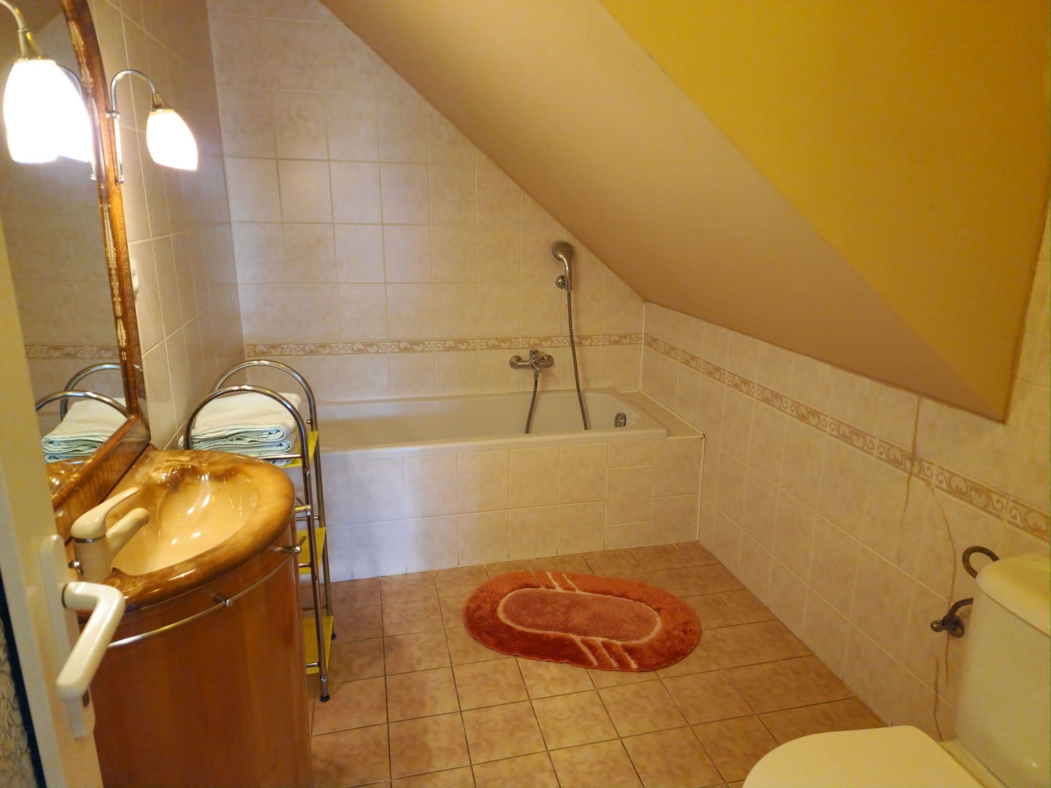 Bathroom / Wellness