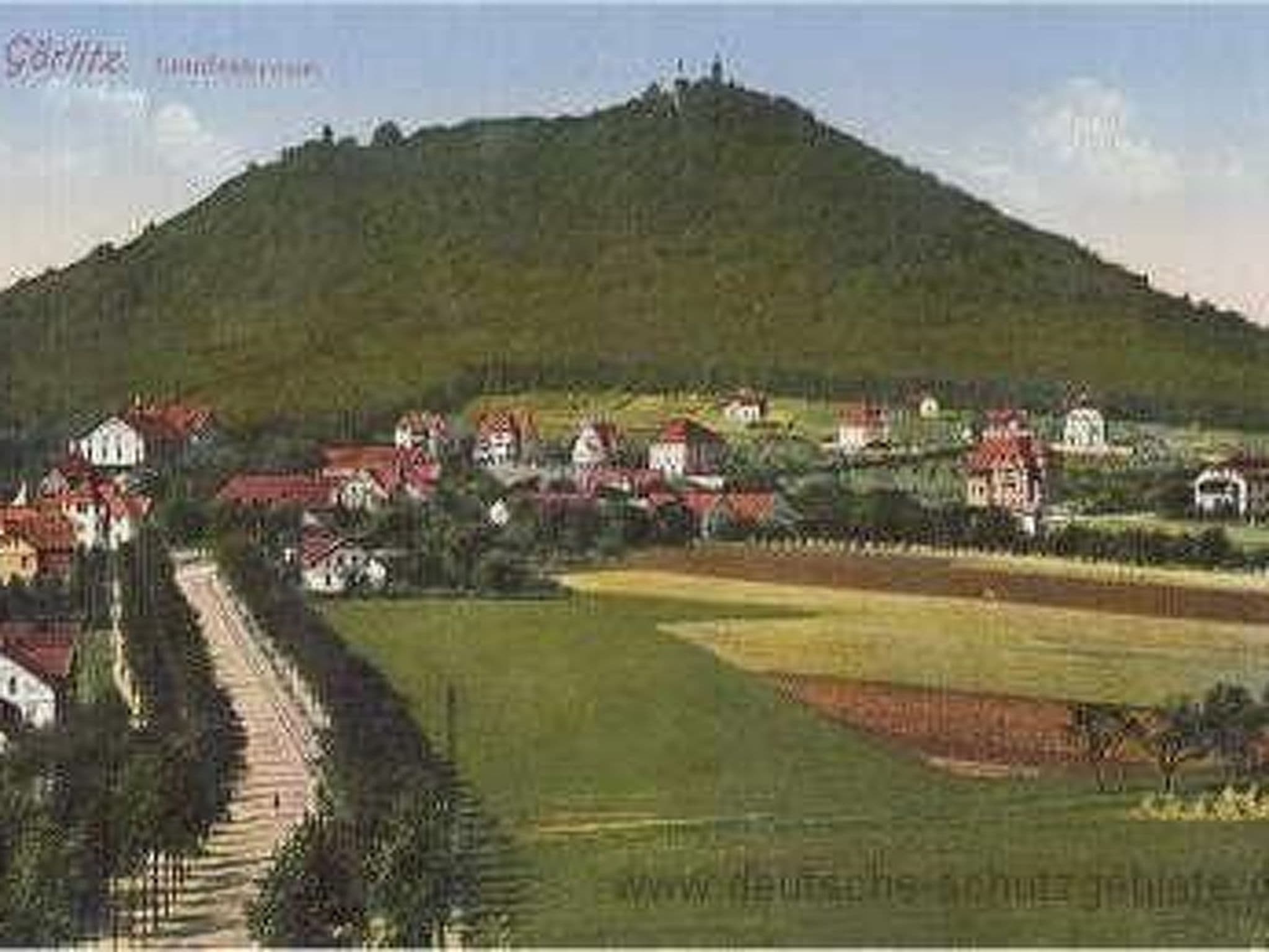 Gallery Image 18