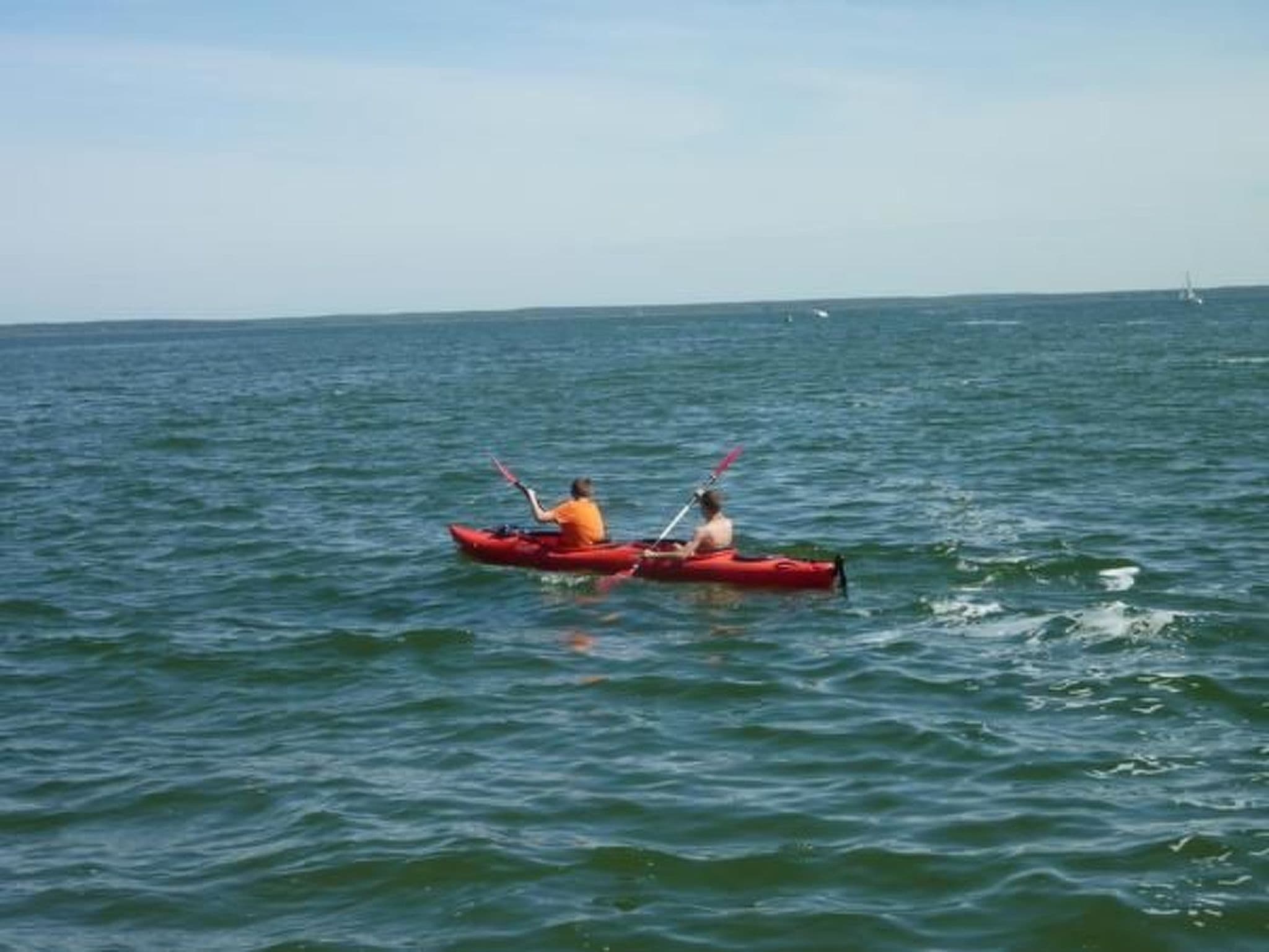 Gallery Image 11