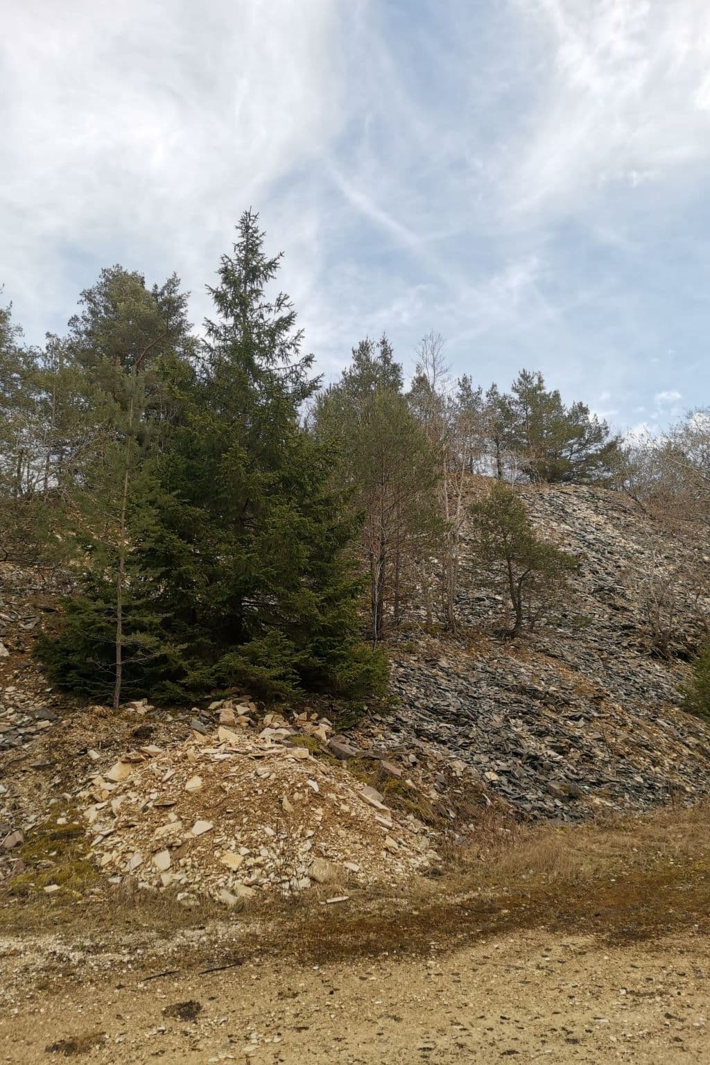 Gallery Image 15