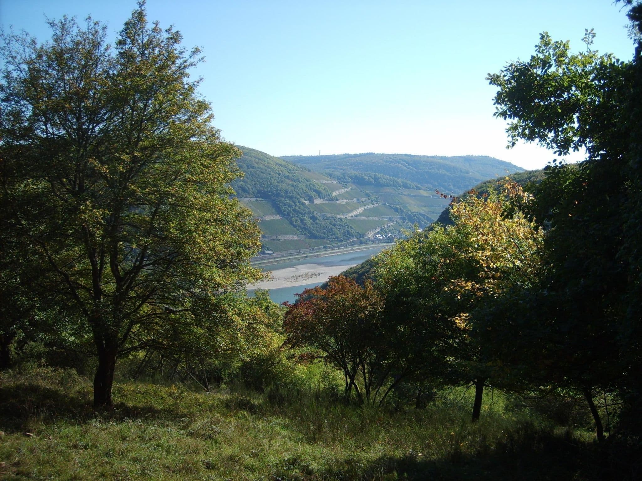 View