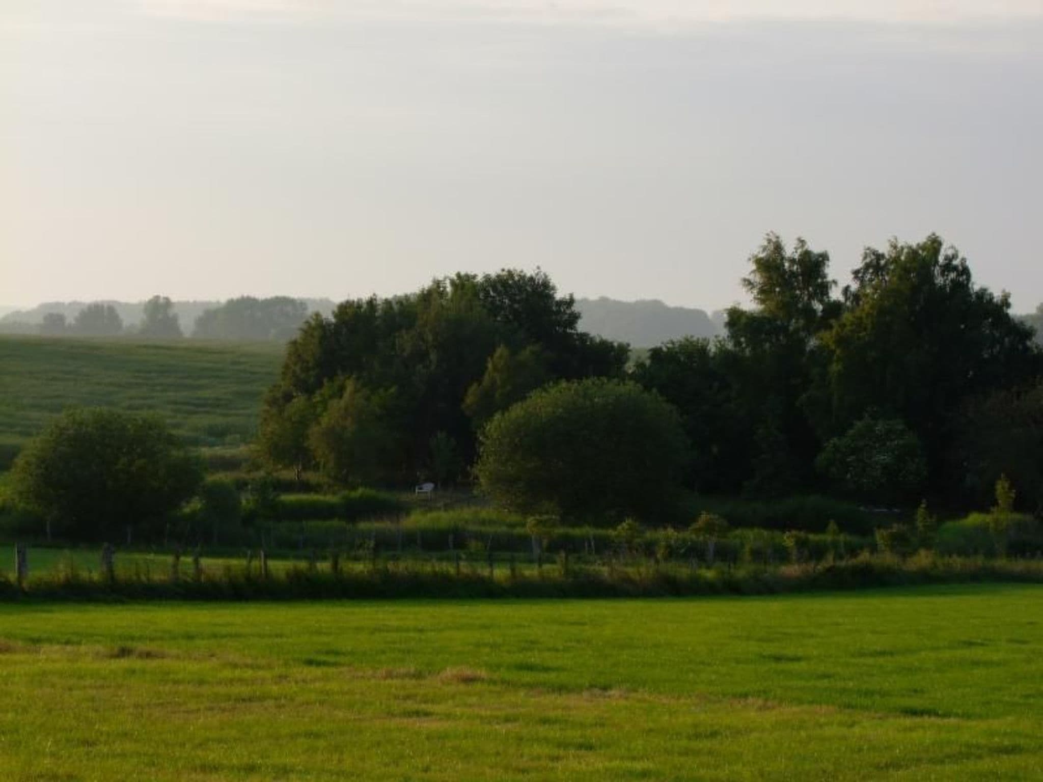 Gallery Image 13