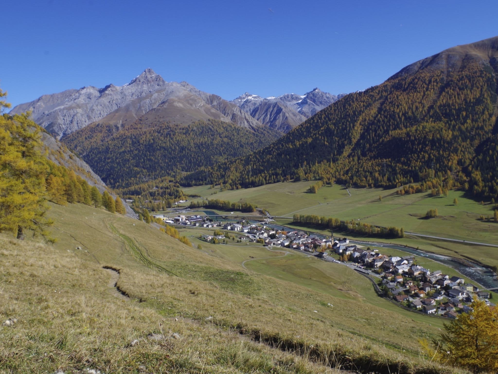 View