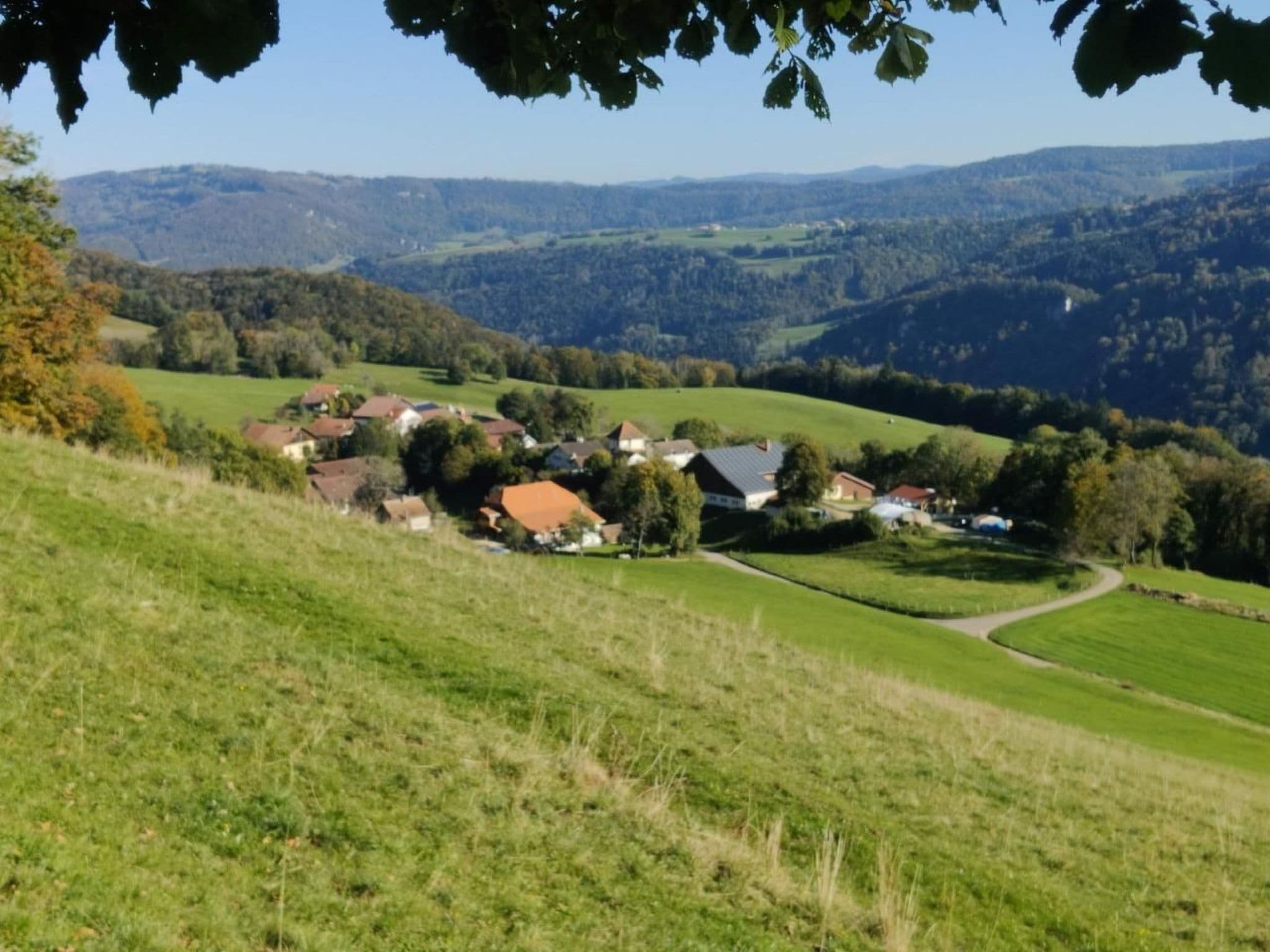 View