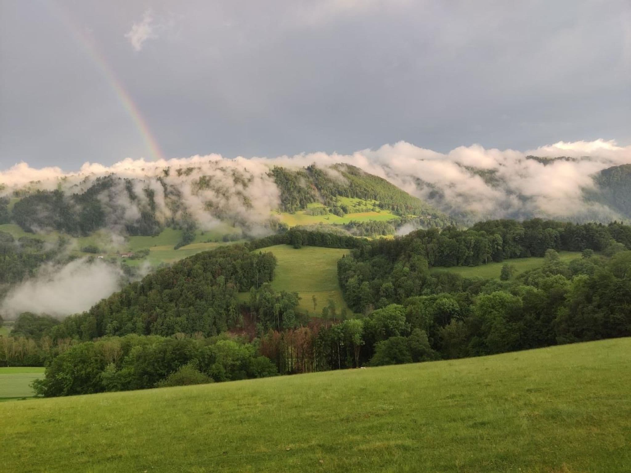 View