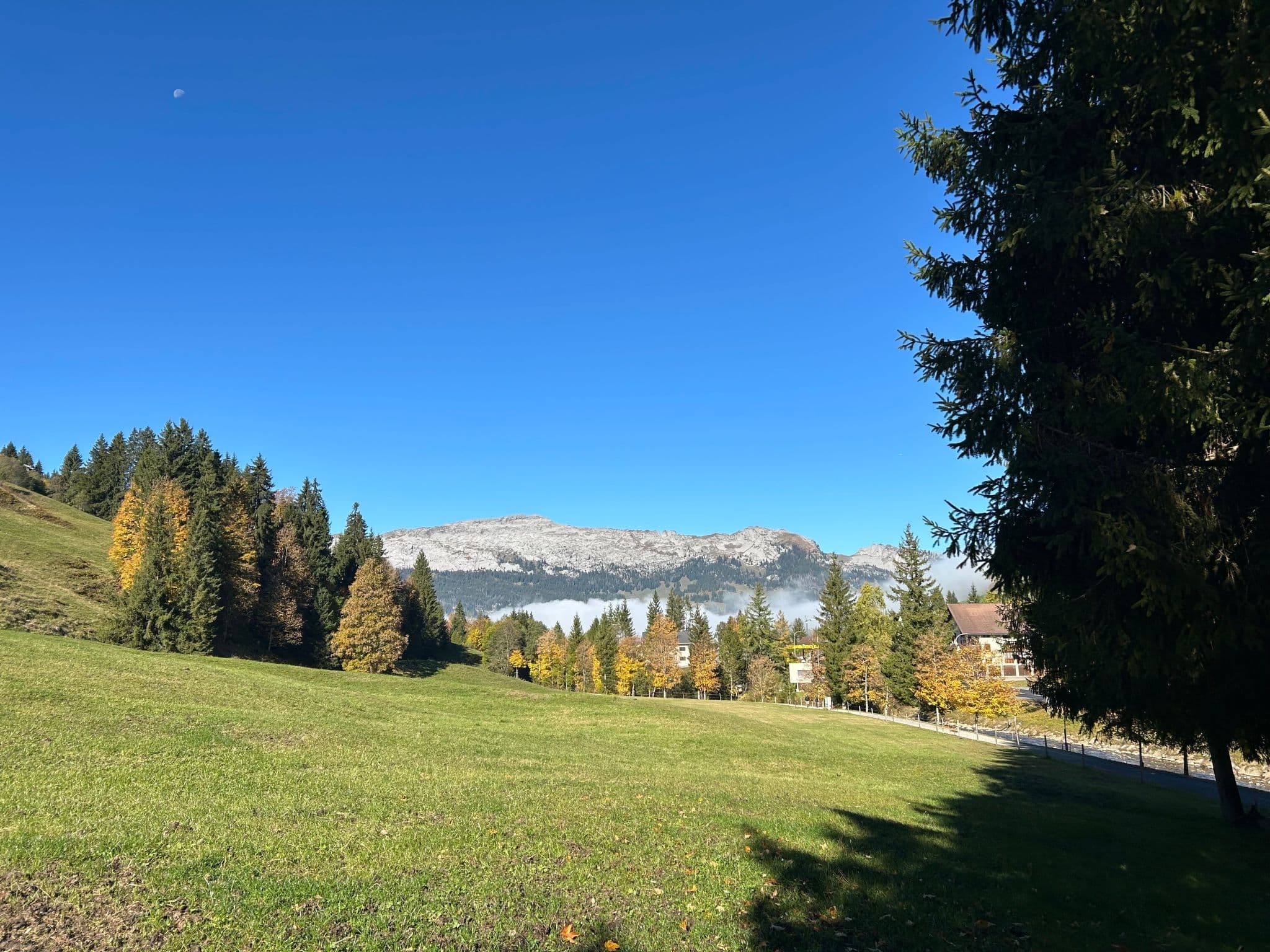 View