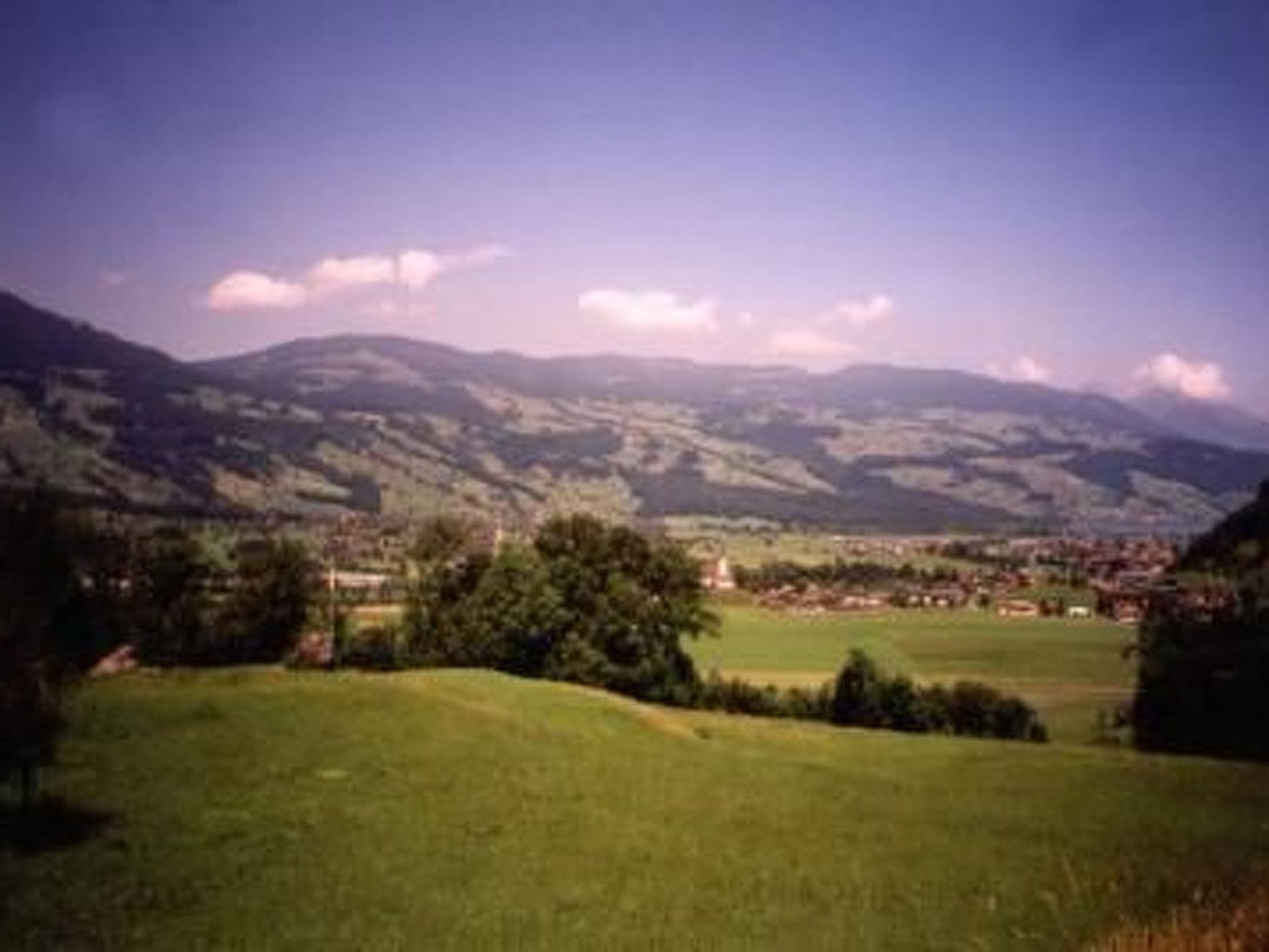 Gallery Image 23