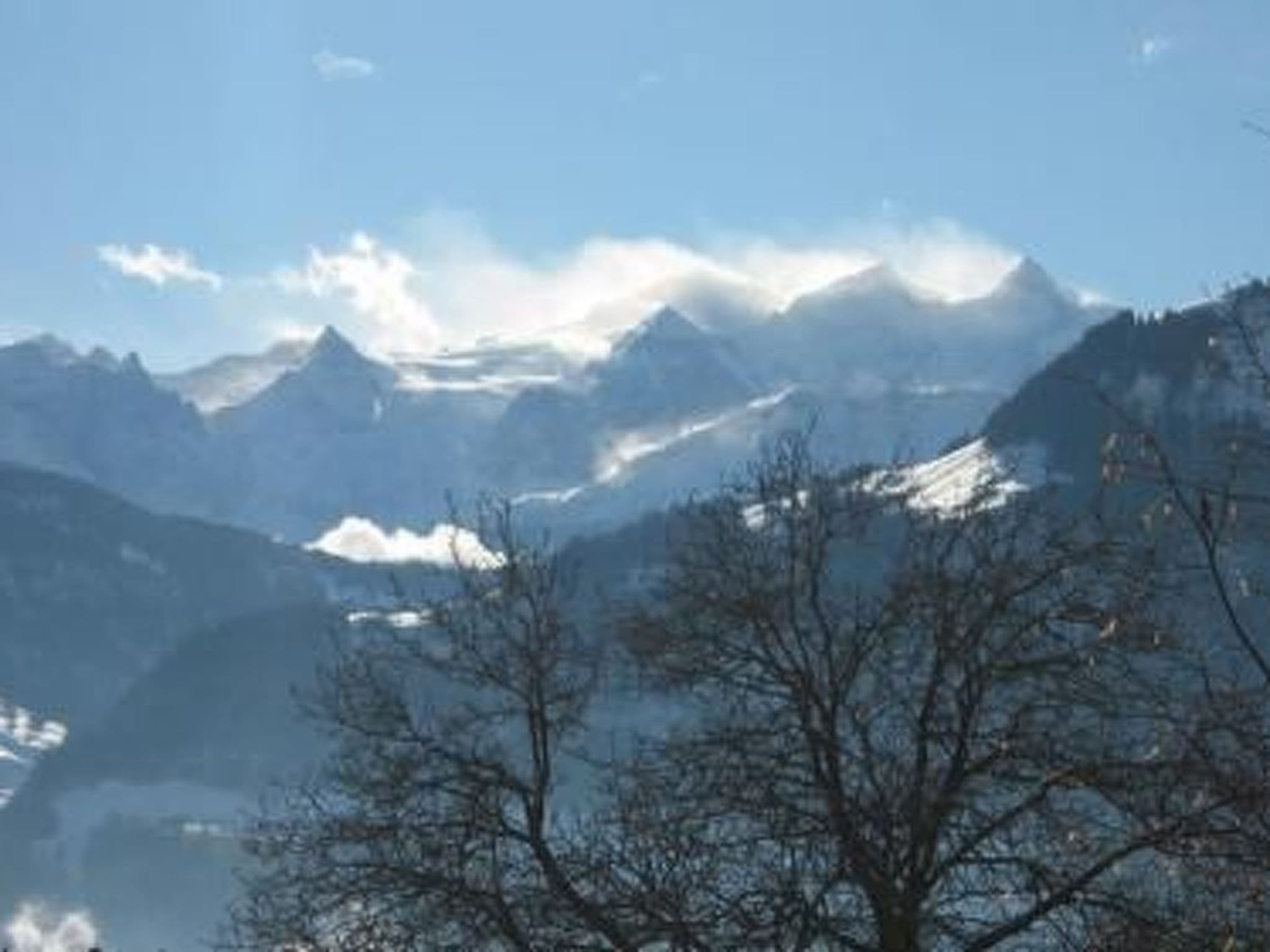 Gallery Image 22