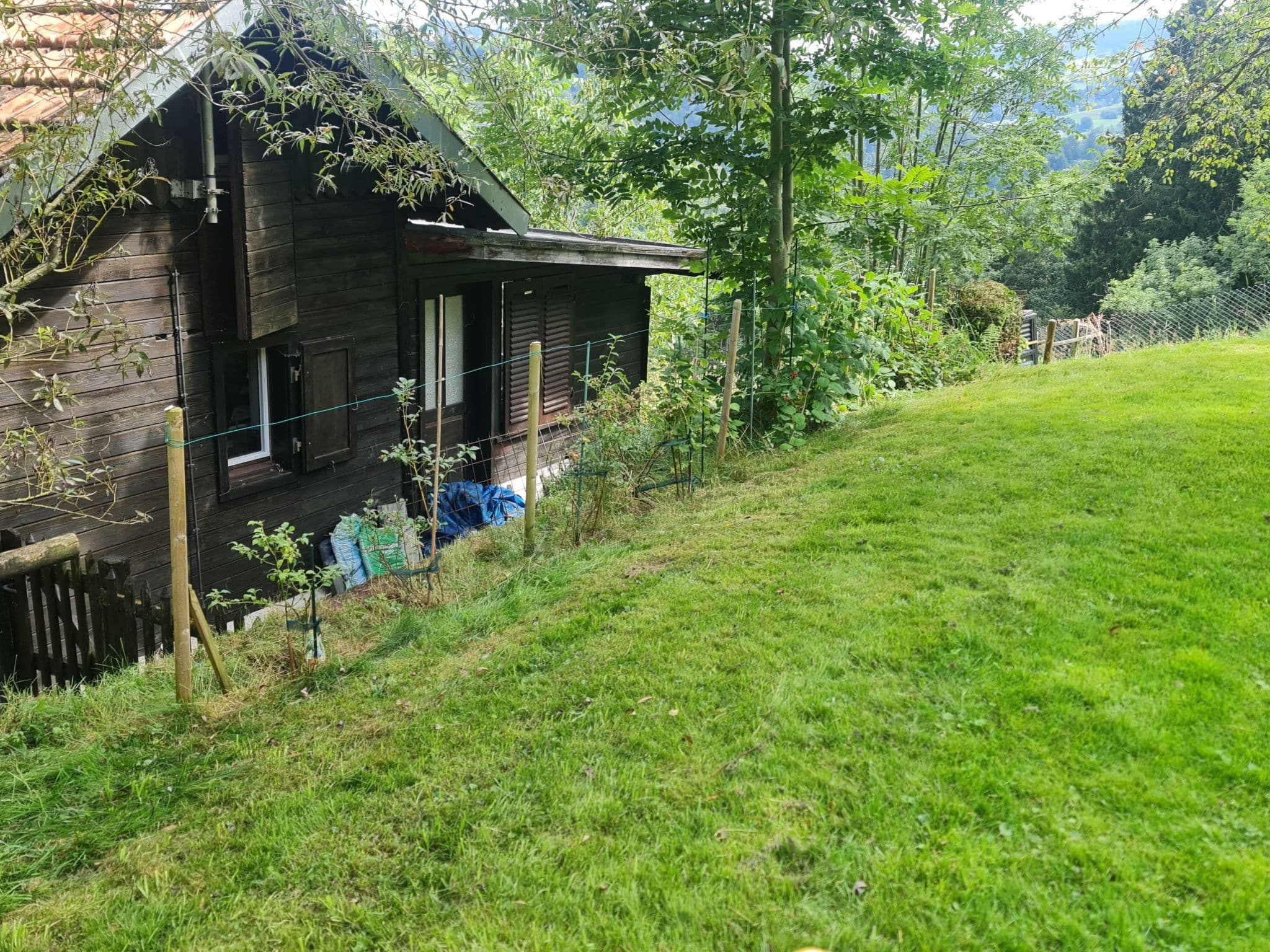 Gallery Image 16
