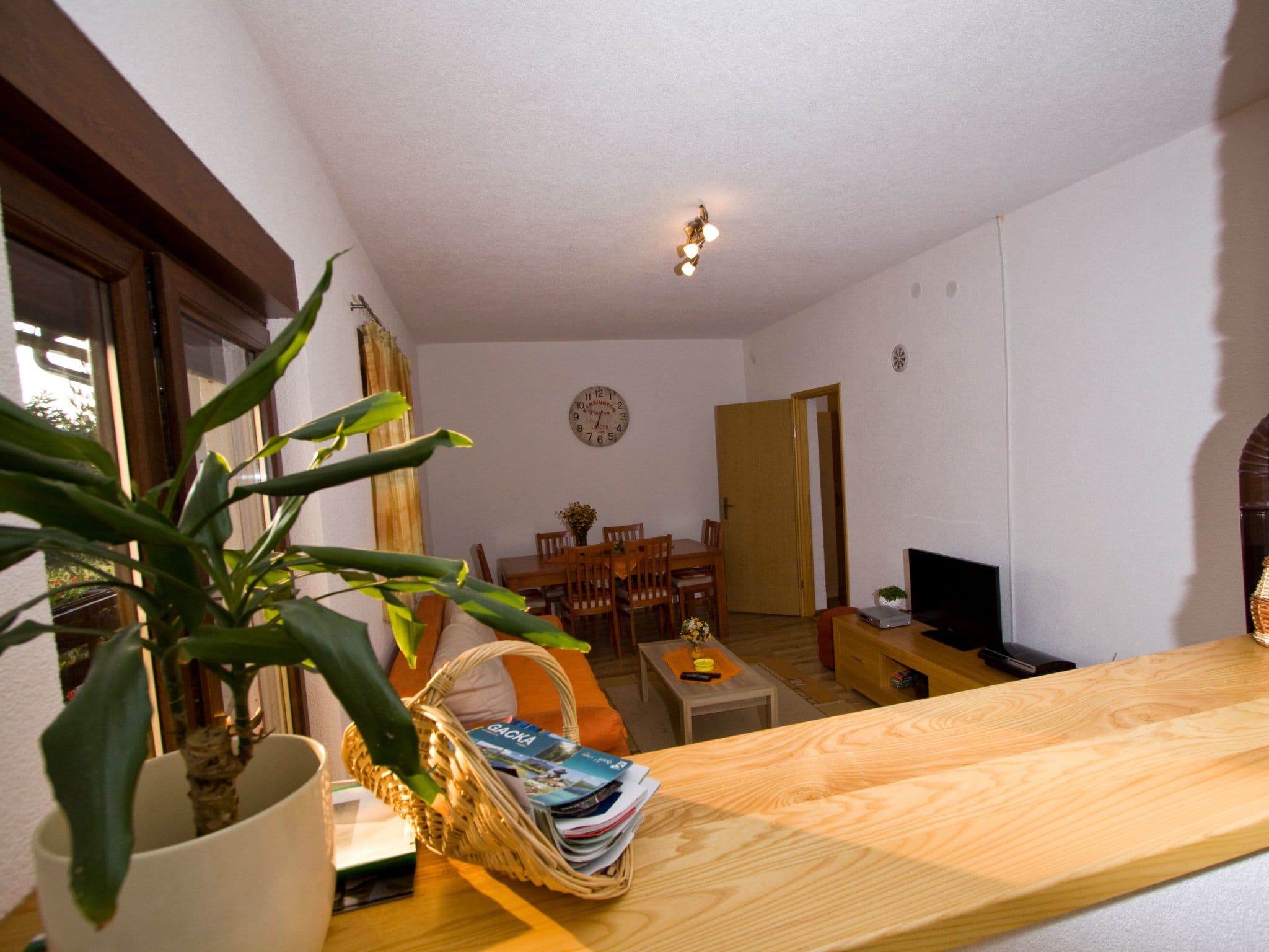 Gallery Image 19