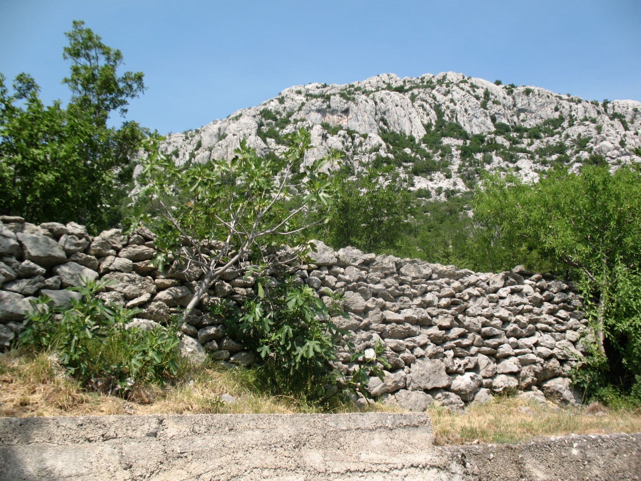 Gallery Image 26