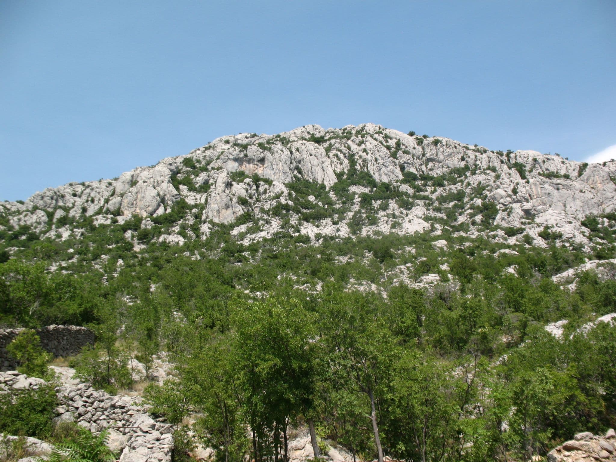 Gallery Image 24