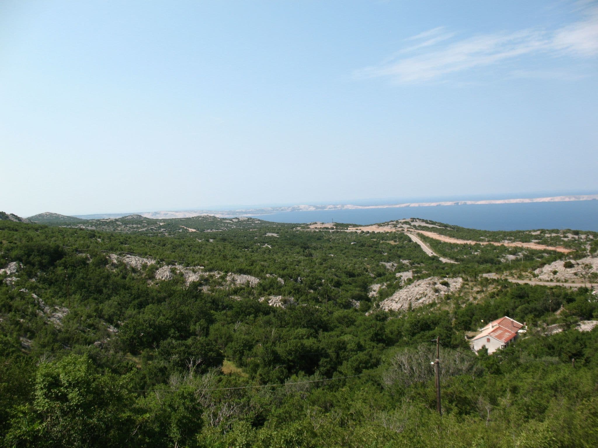Gallery Image 22