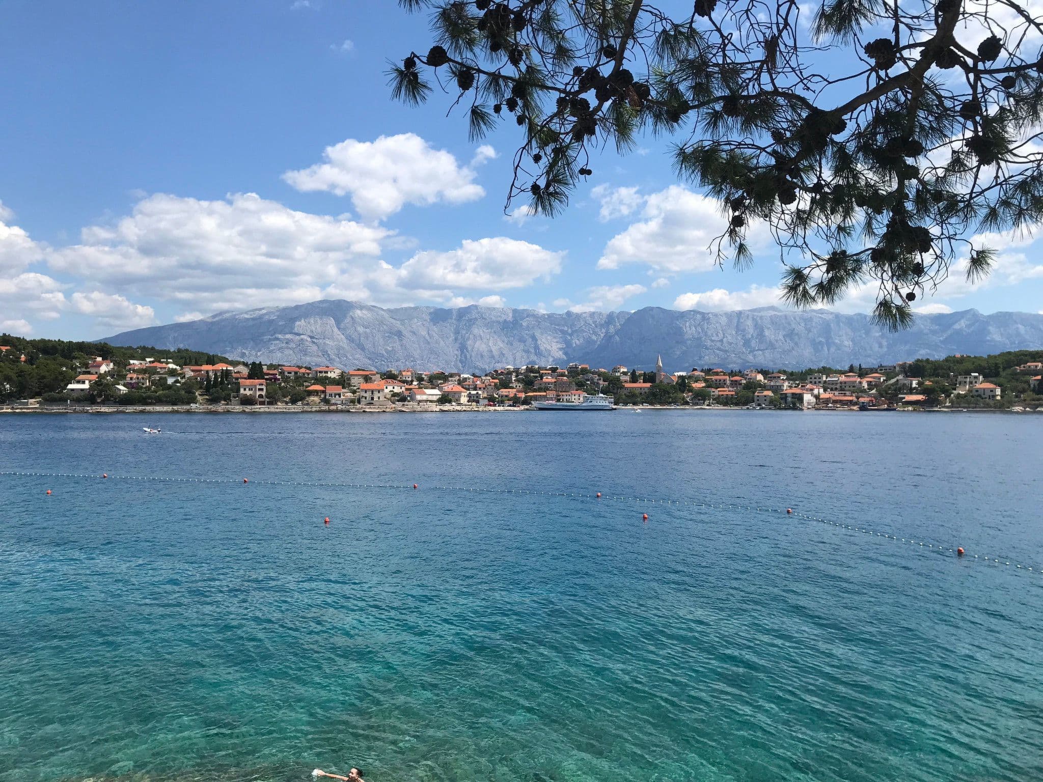 View