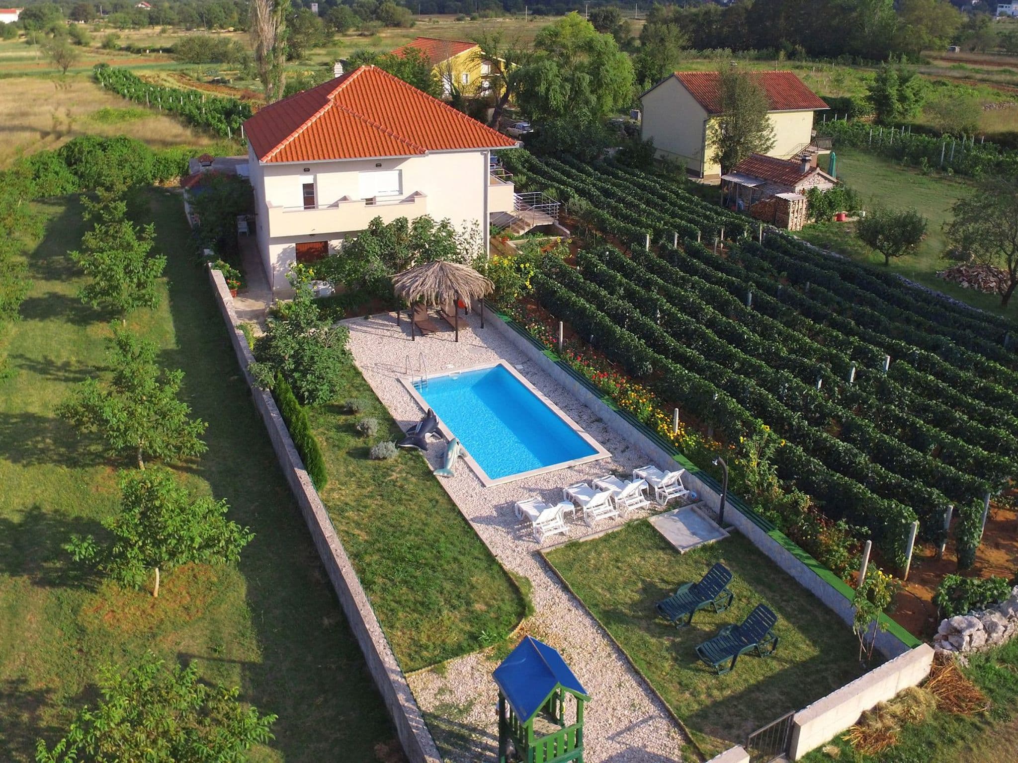 Aerial photography