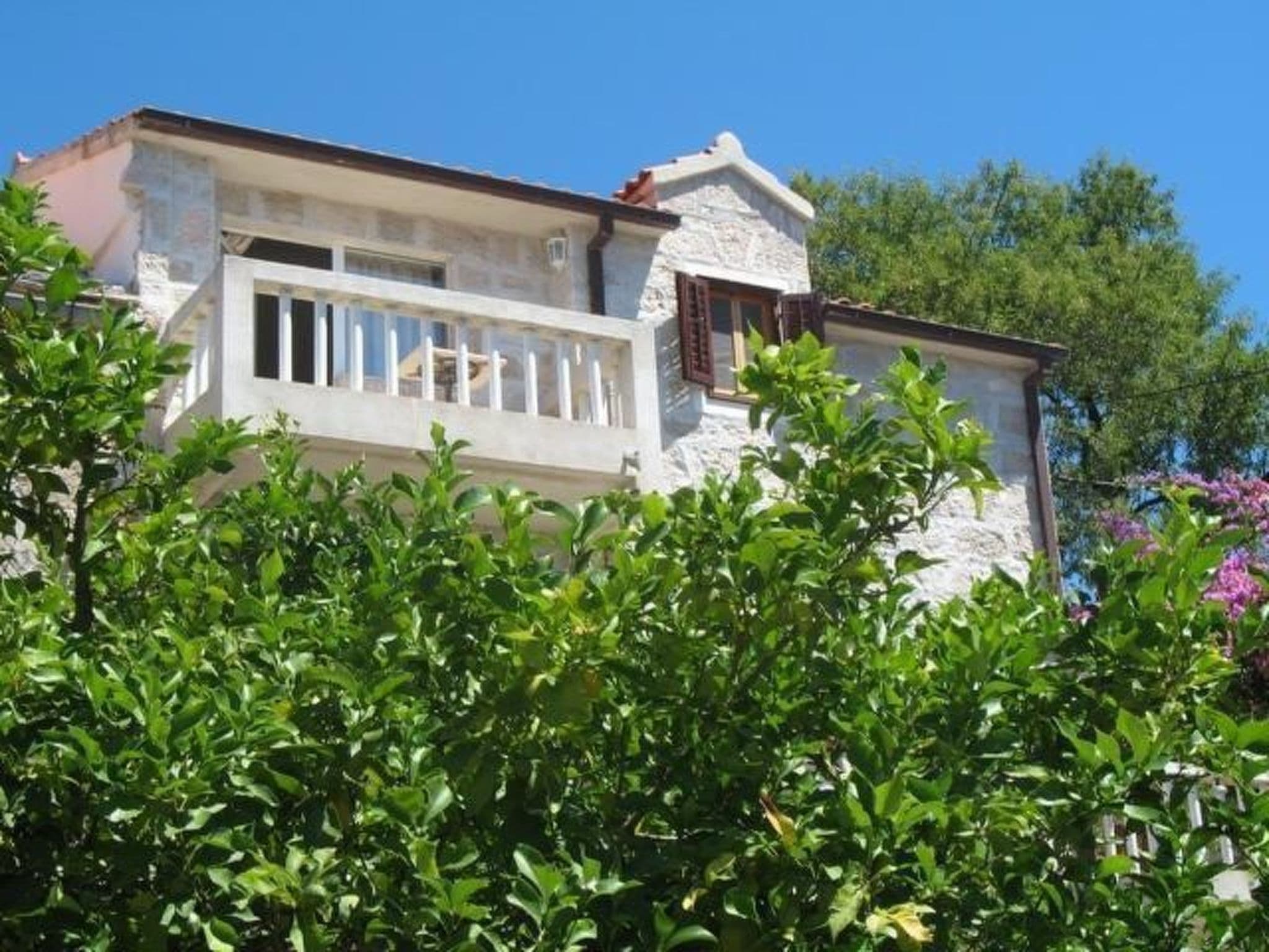 Gallery Image 23