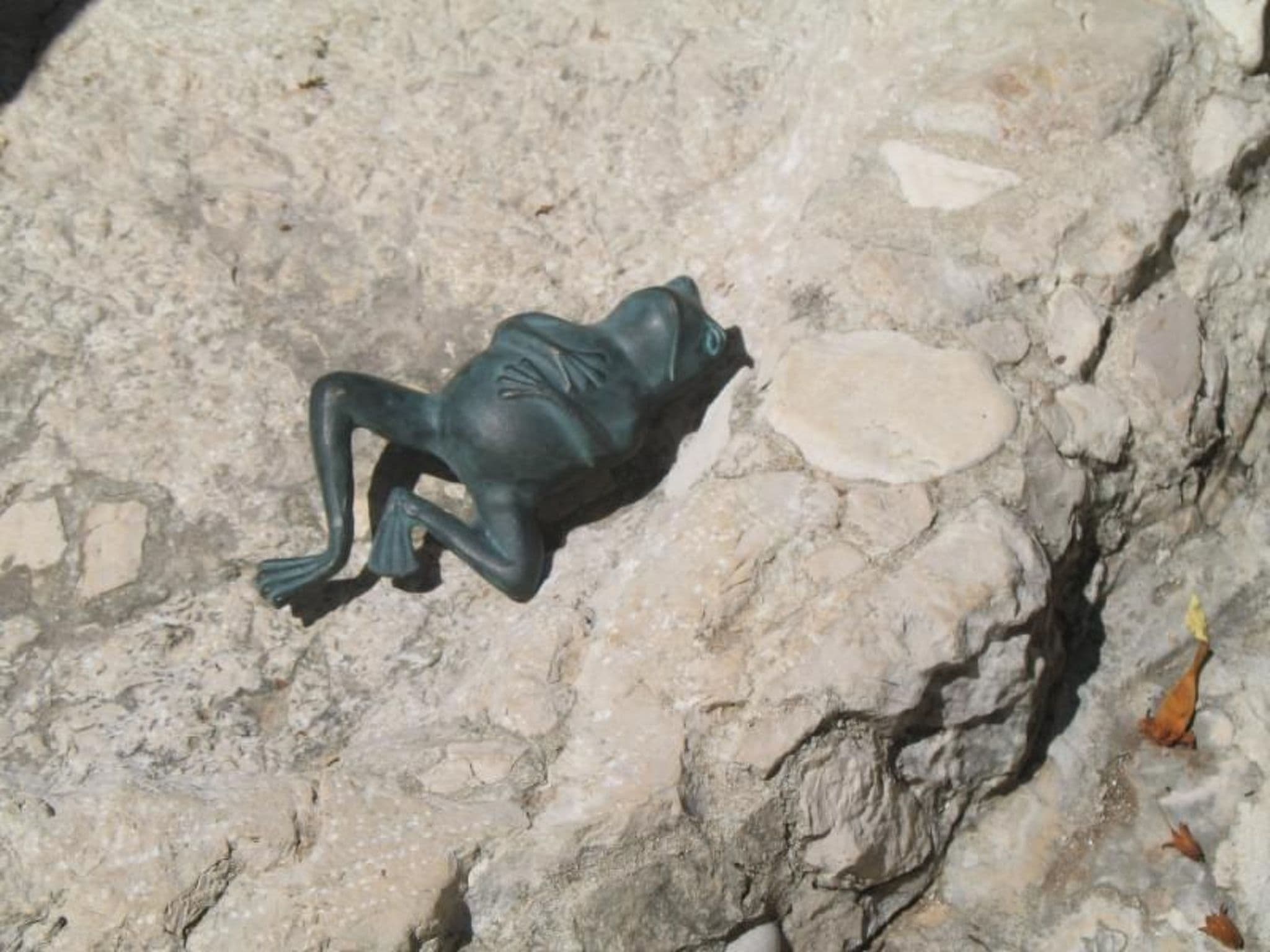 Gallery Image 15