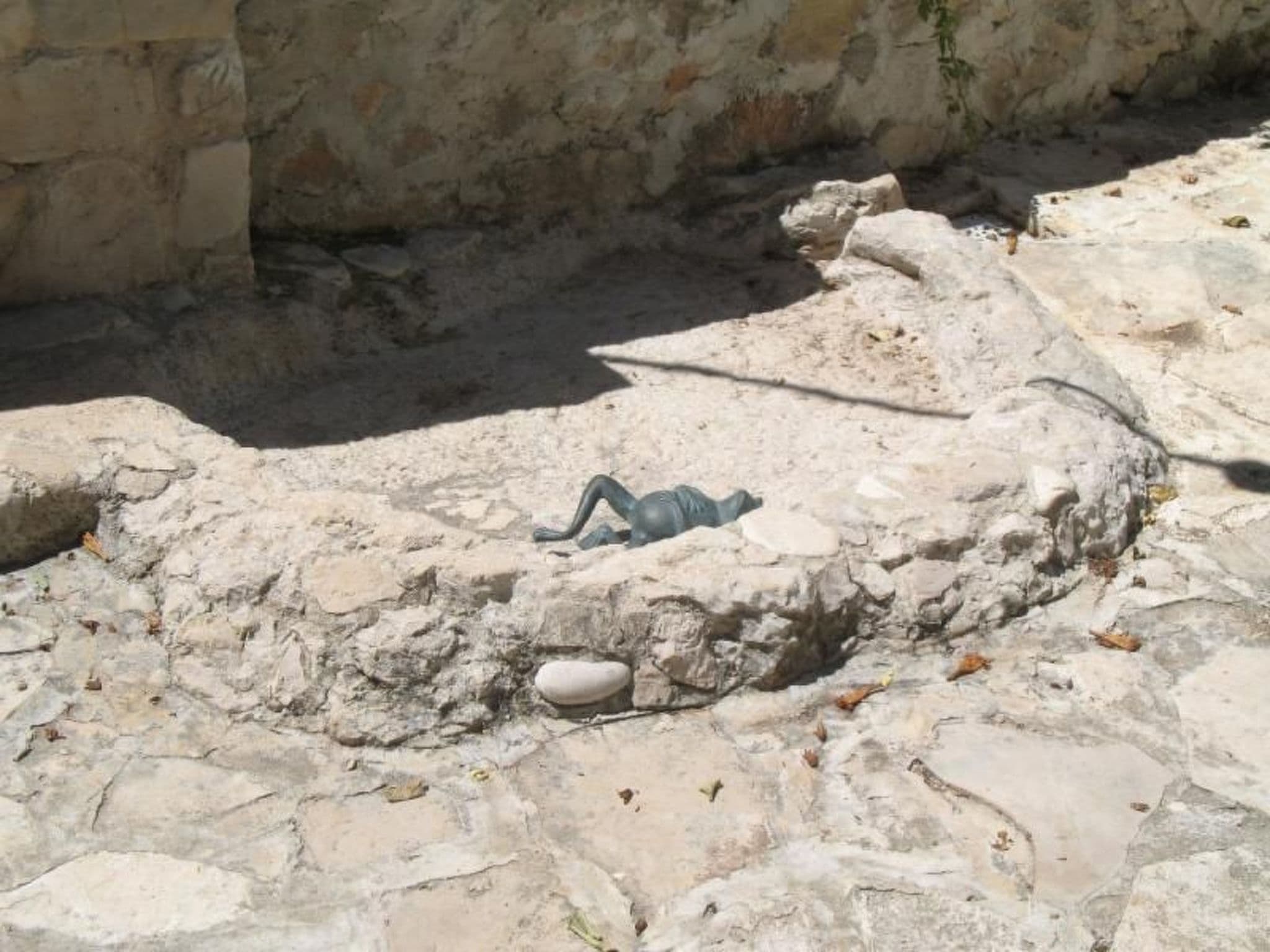 Gallery Image 14