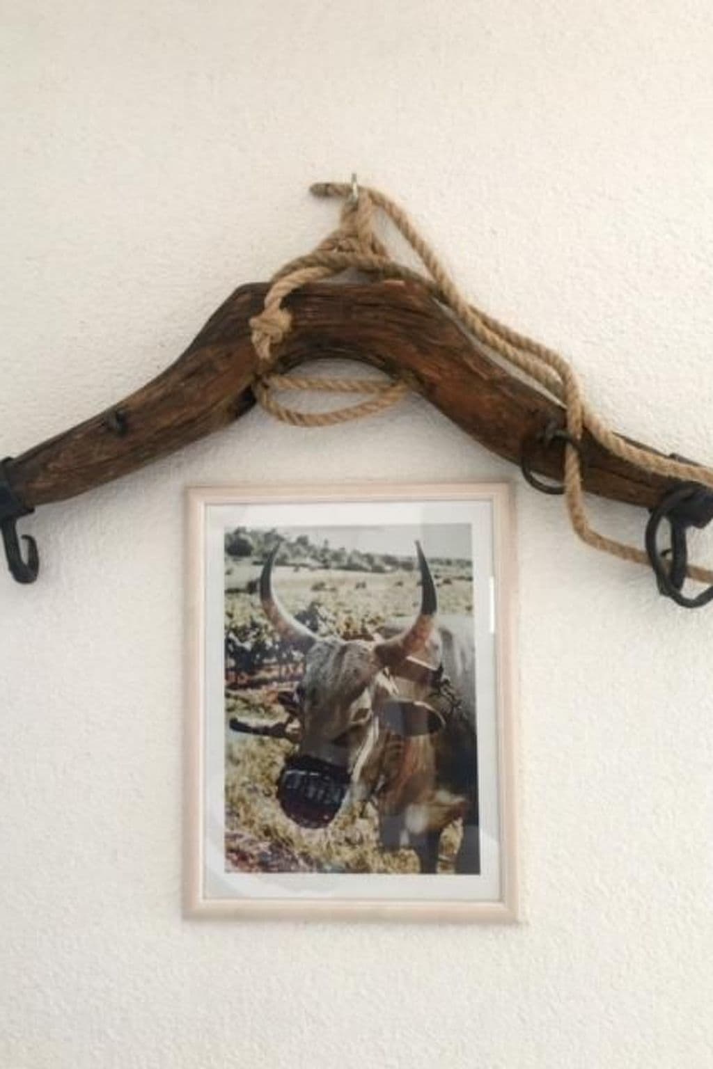 Gallery Image 31