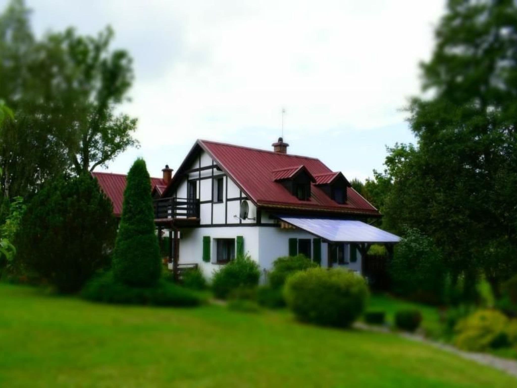 Gallery Image 12
