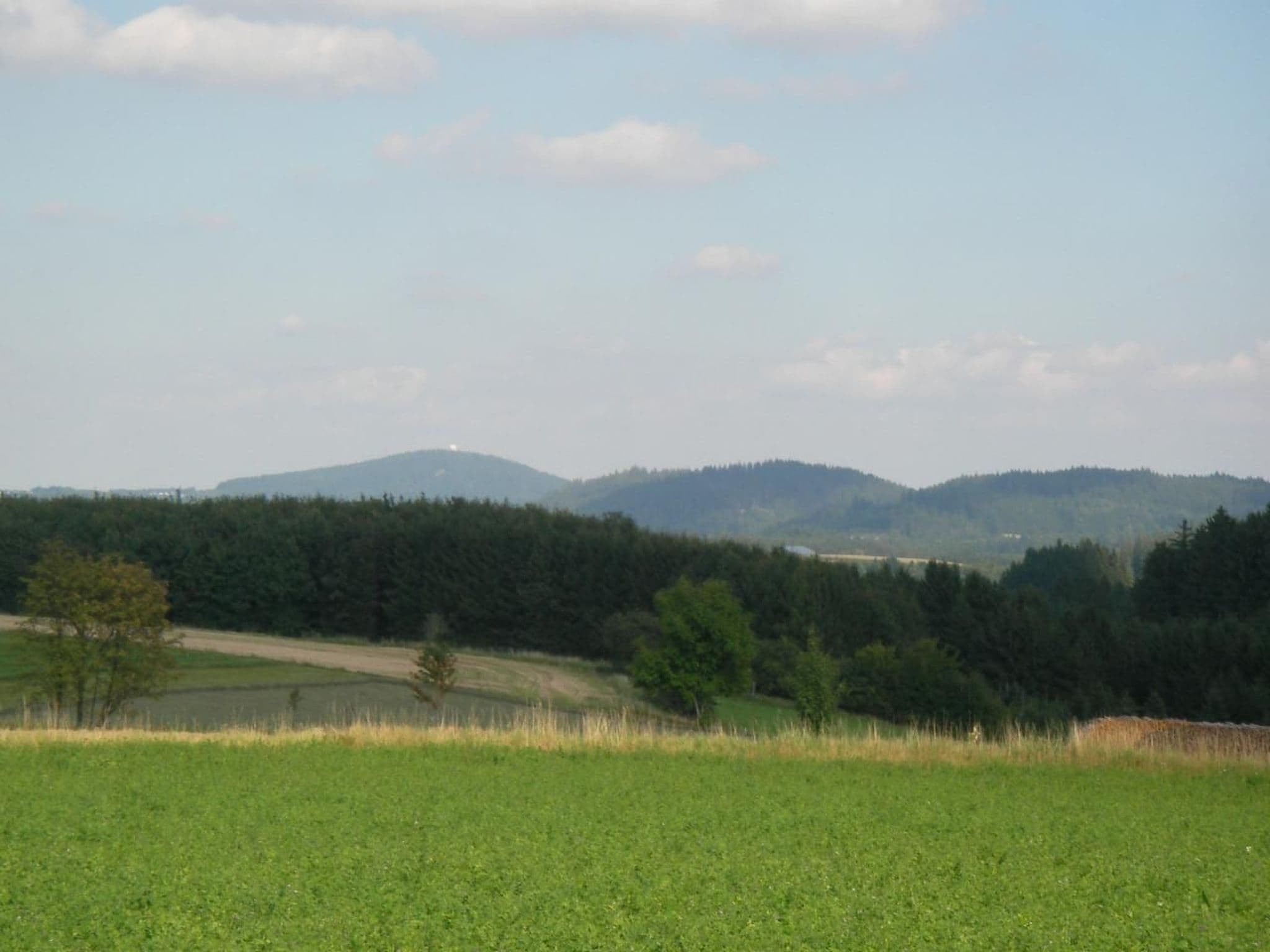 View