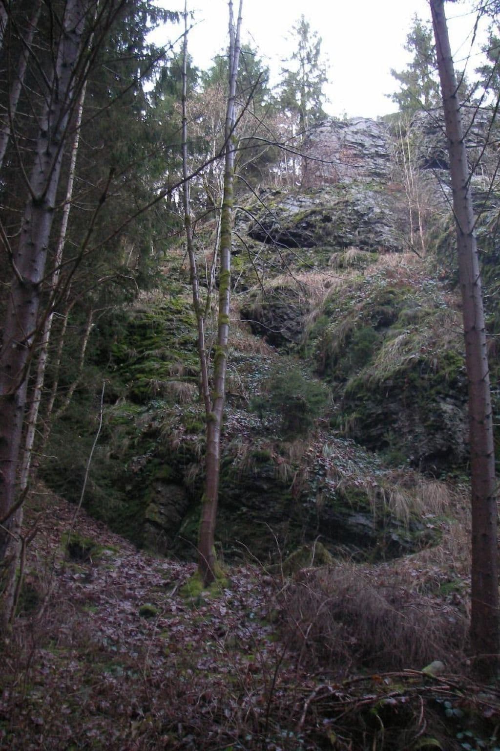 Gallery Image 25