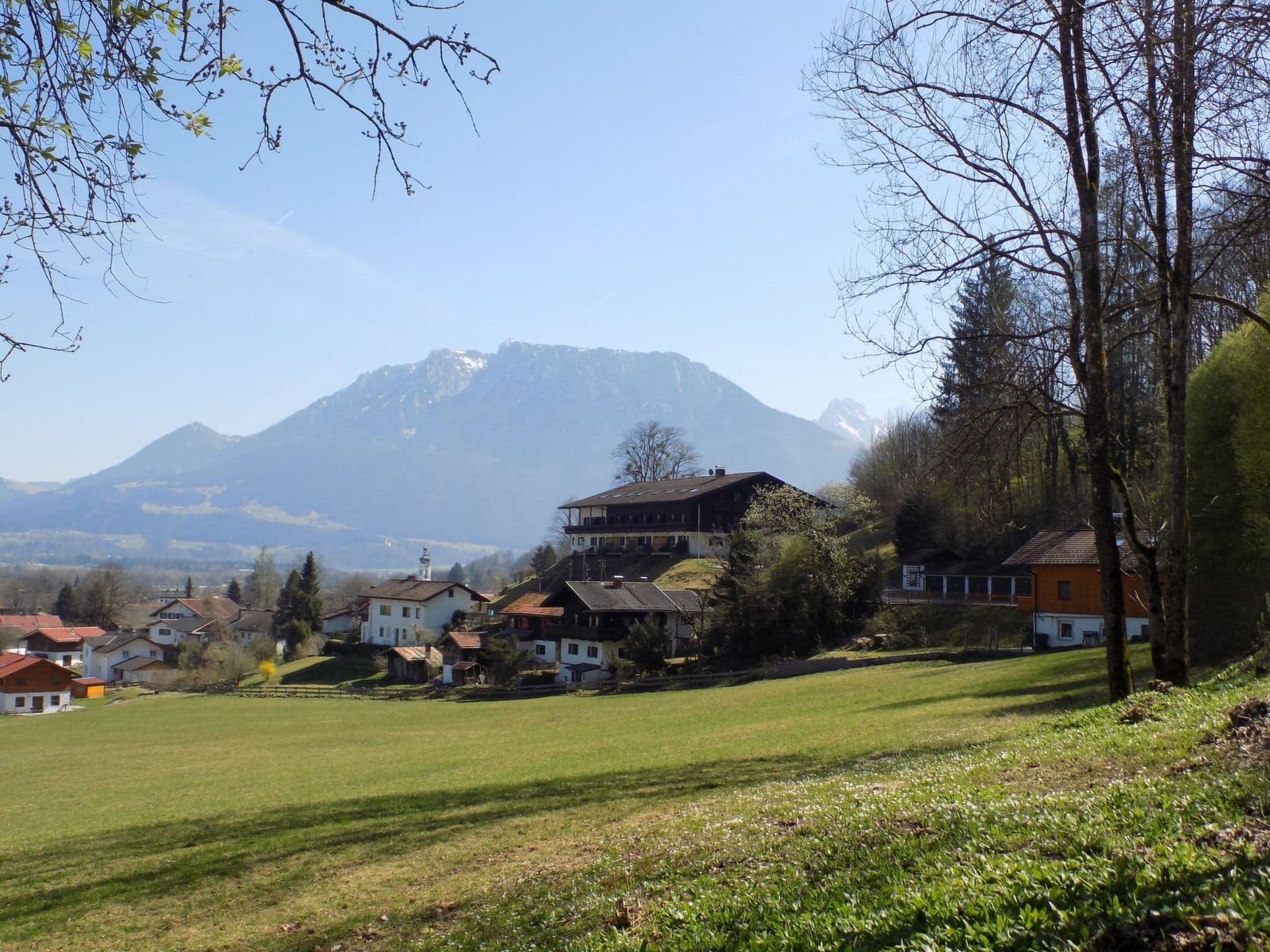 Gallery Image 12