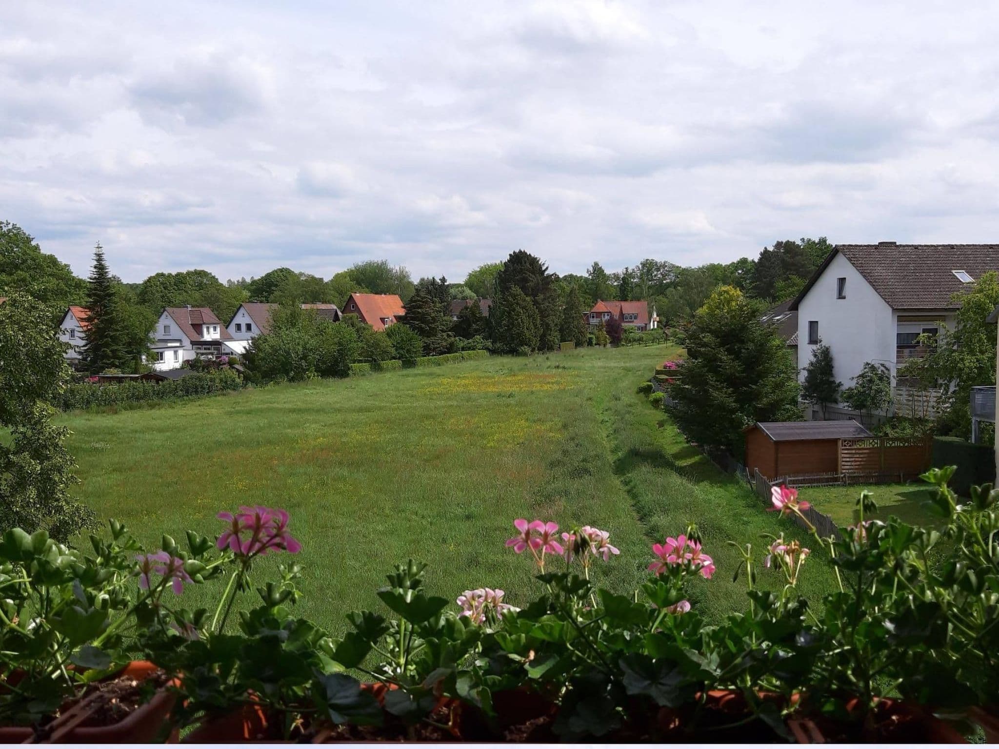 Gallery Image 18