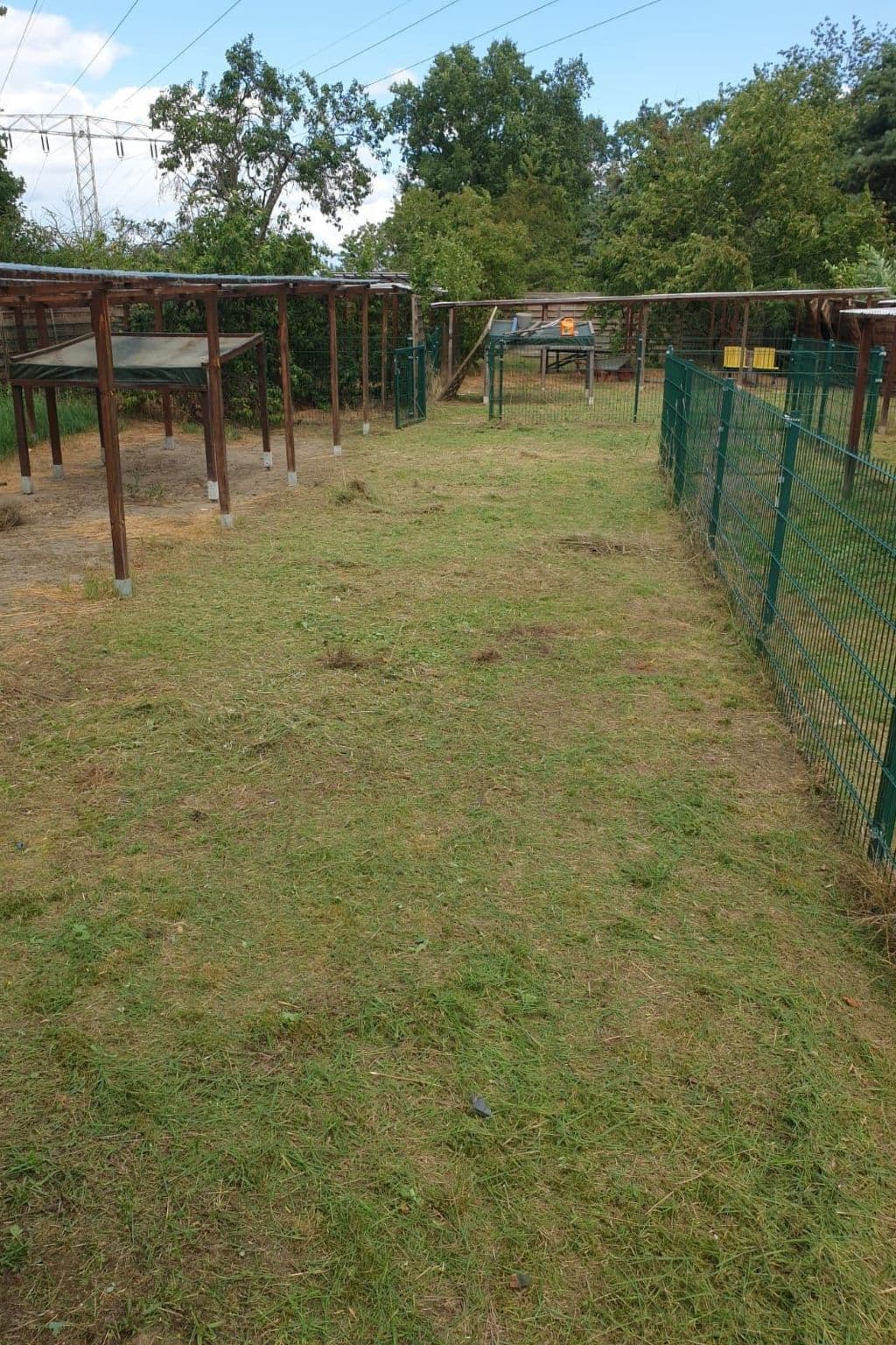 Gallery Image 7