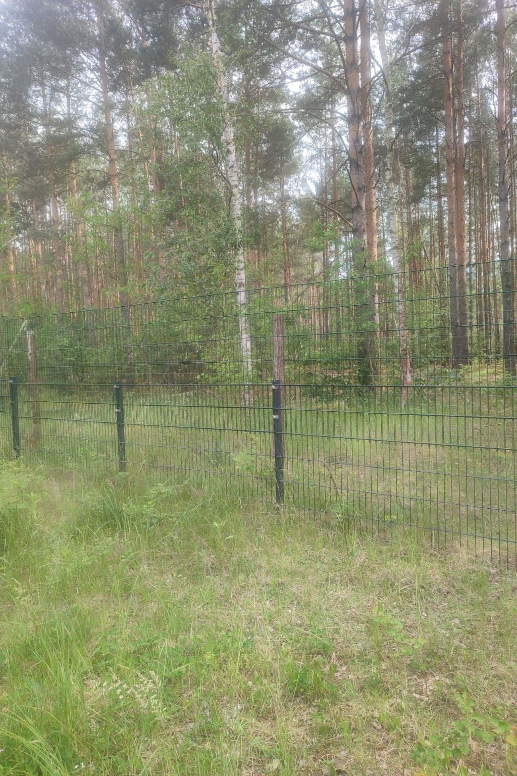 Gallery Image 10