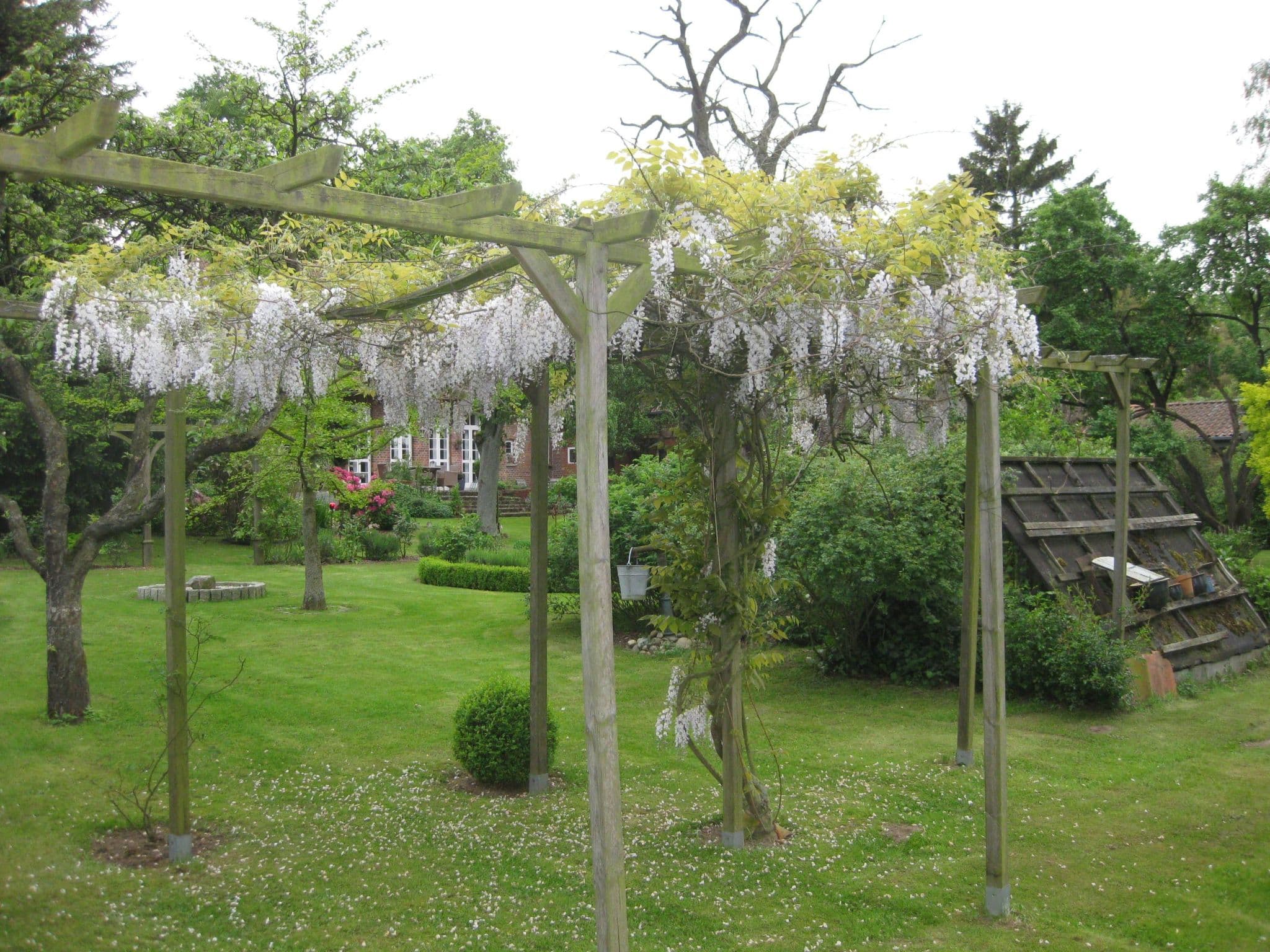 Gallery Image 21