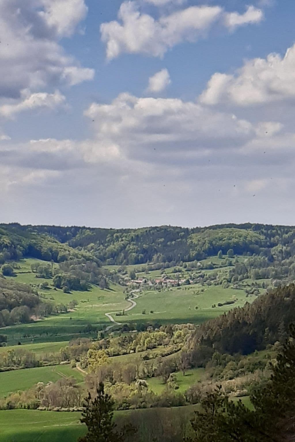 View