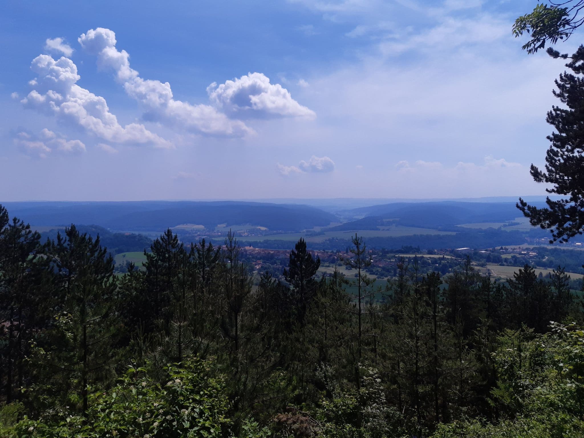 View