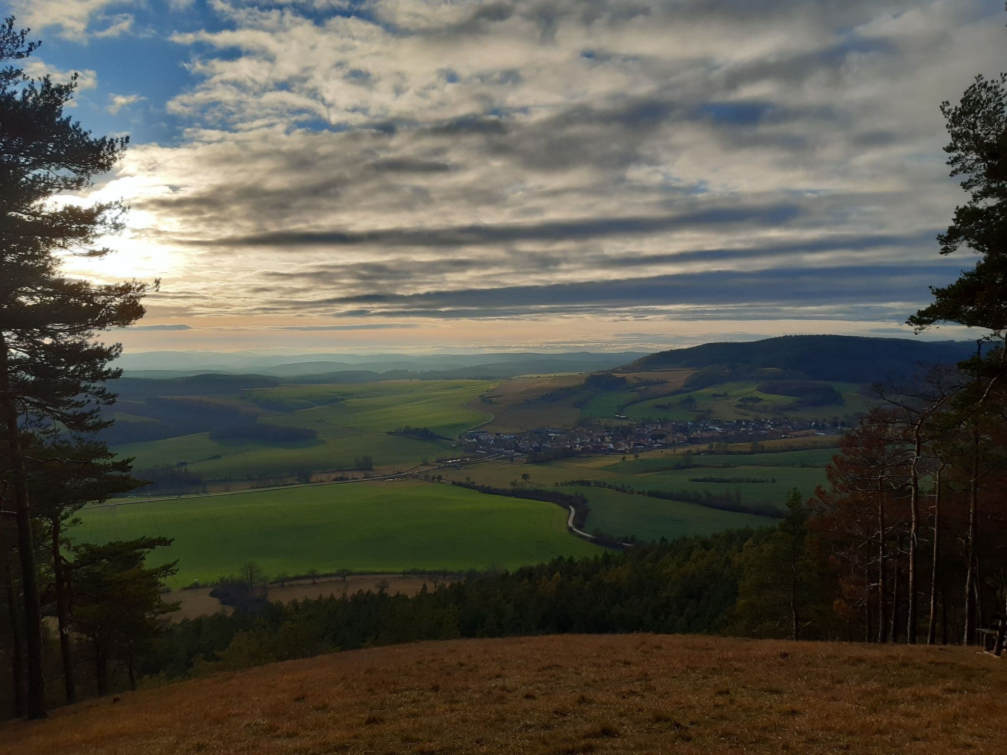 View