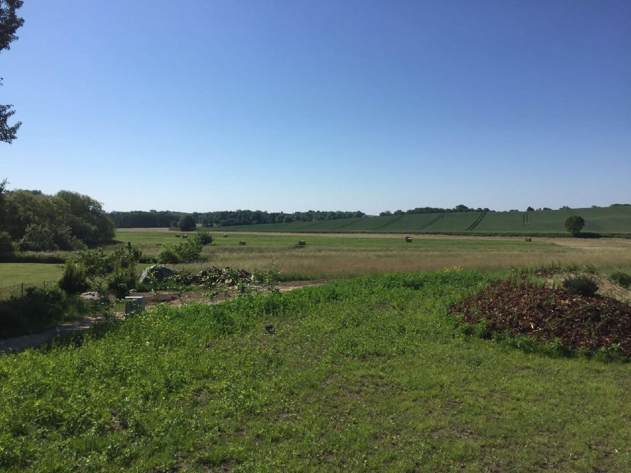 Gallery Image 16